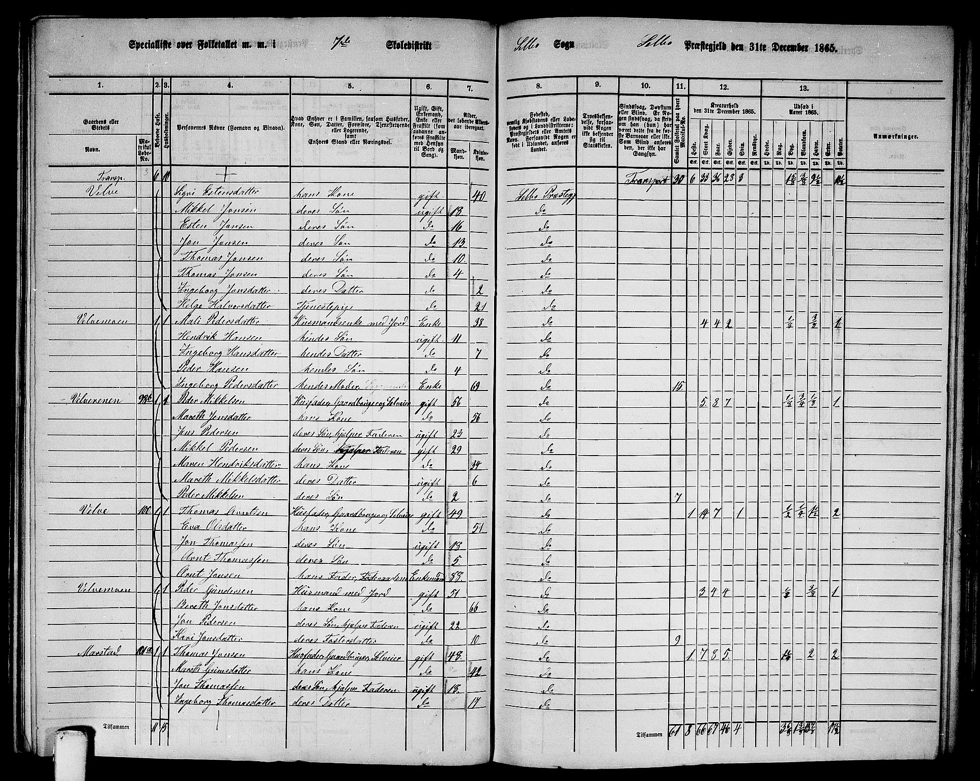 RA, 1865 census for Selbu, 1865, p. 117