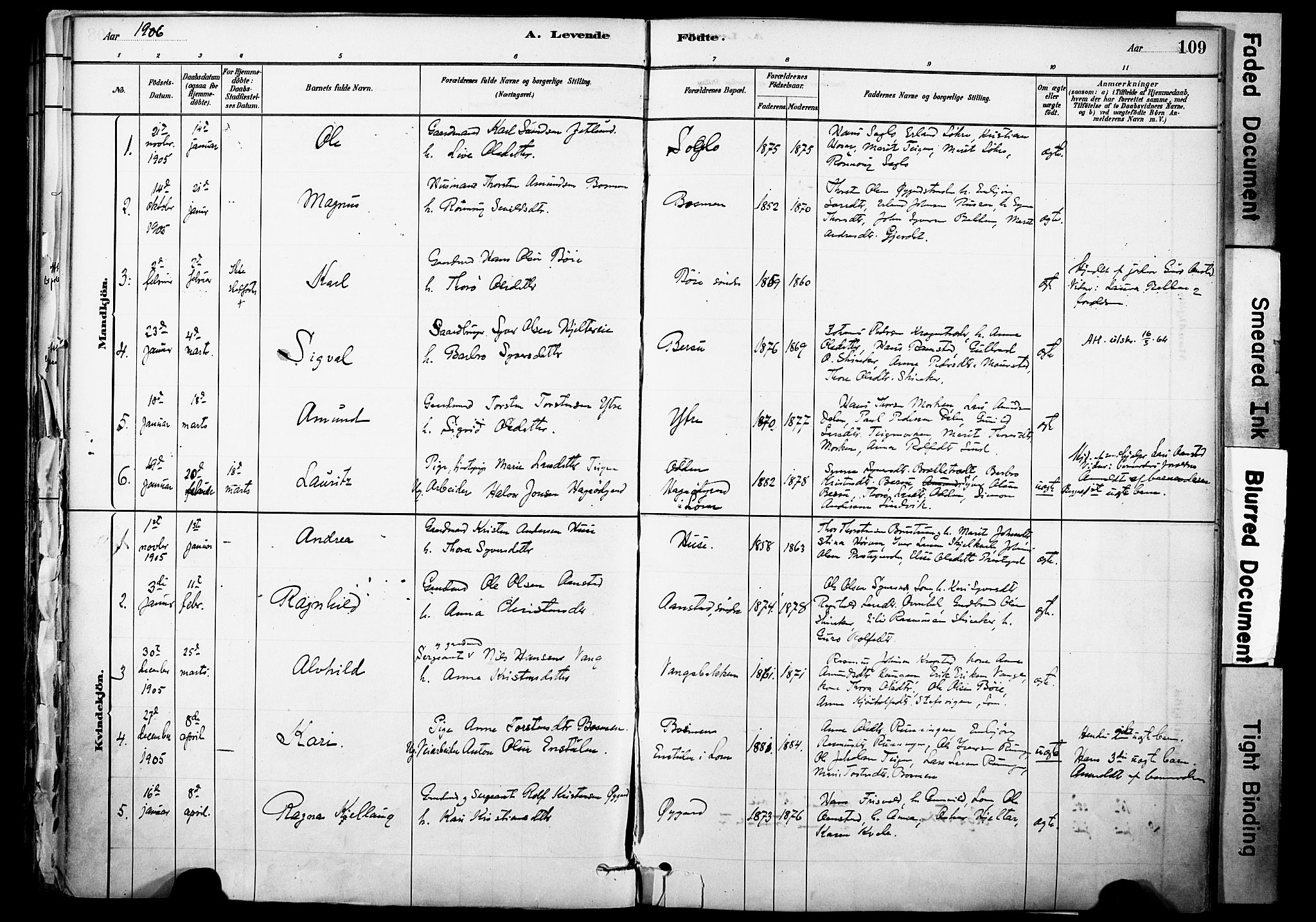 Skjåk prestekontor, SAH/PREST-072/H/Ha/Haa/L0003: Parish register (official) no. 3, 1880-1907, p. 109