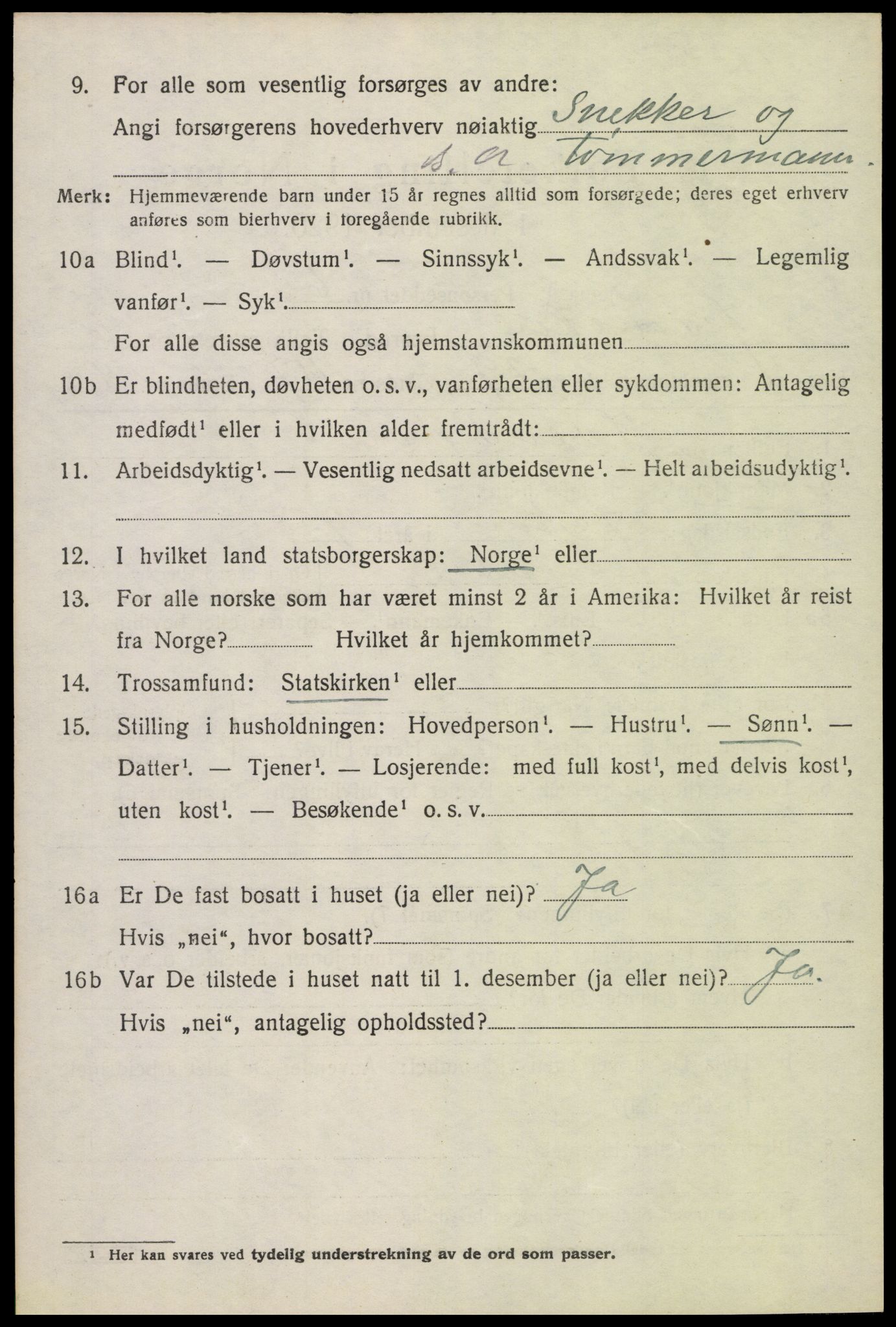 SAH, 1920 census for Jevnaker, 1920, p. 9152