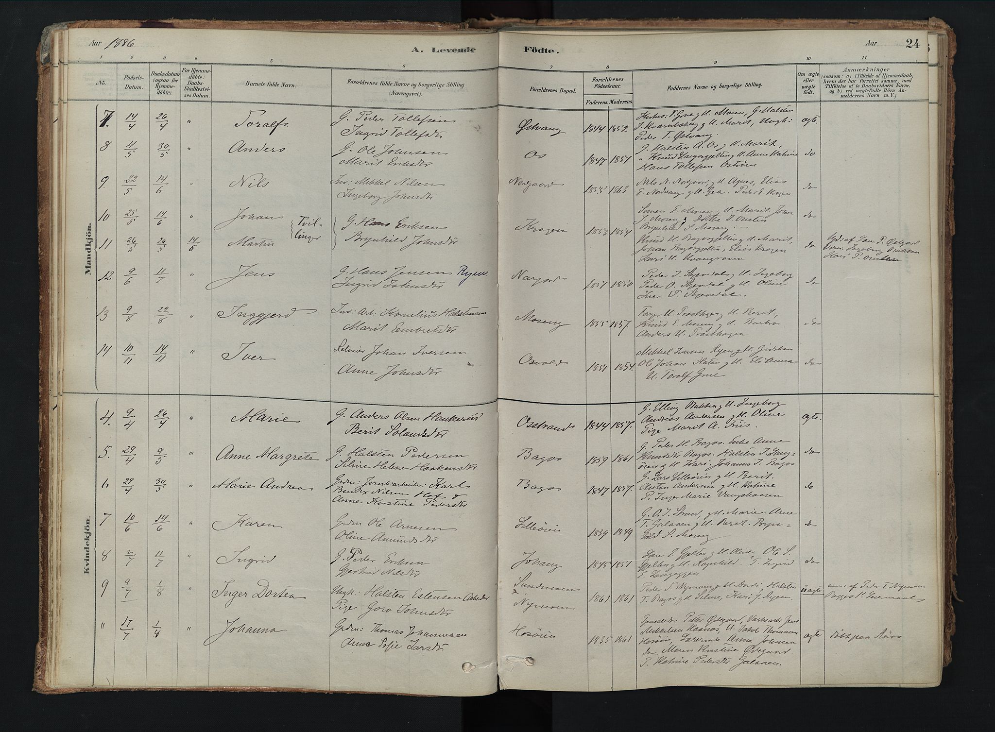 Tolga prestekontor, AV/SAH-PREST-062/K/L0008: Parish register (official) no. 8, 1877-1910, p. 24