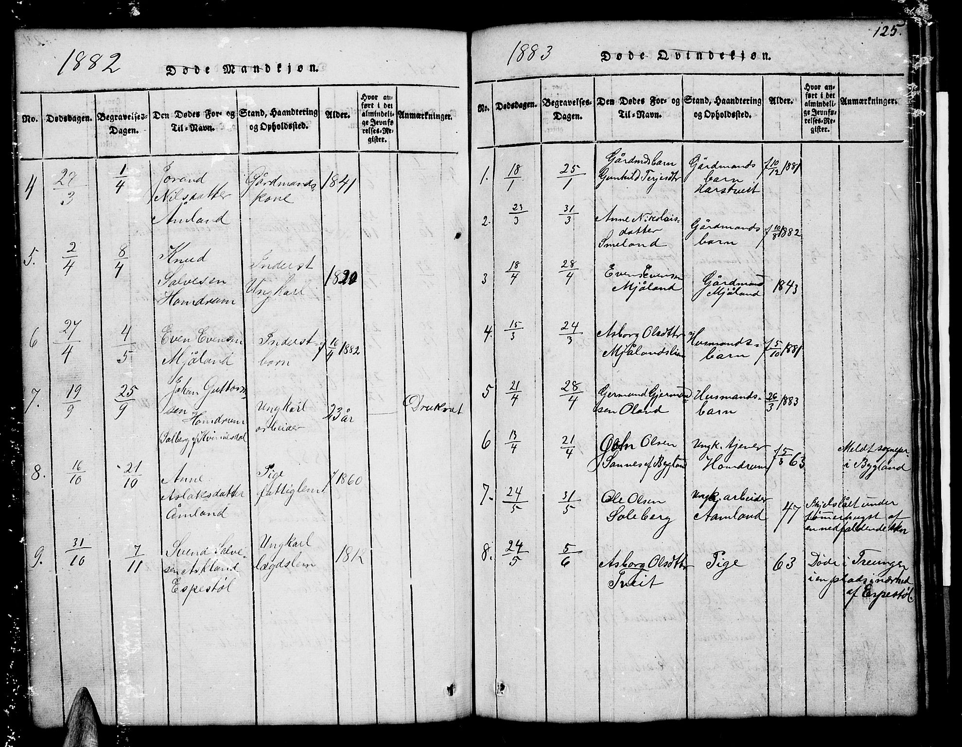 Åmli sokneprestkontor, AV/SAK-1111-0050/F/Fb/Fba/L0001: Parish register (copy) no. B 1, 1816-1890, p. 125