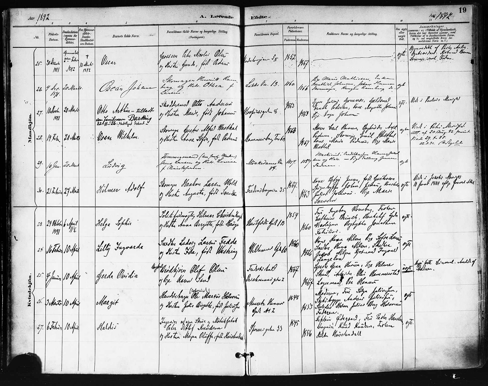 Trefoldighet prestekontor Kirkebøker, AV/SAO-A-10882/F/Fa/L0006: Parish register (official) no. I 6, 1891-1899, p. 19