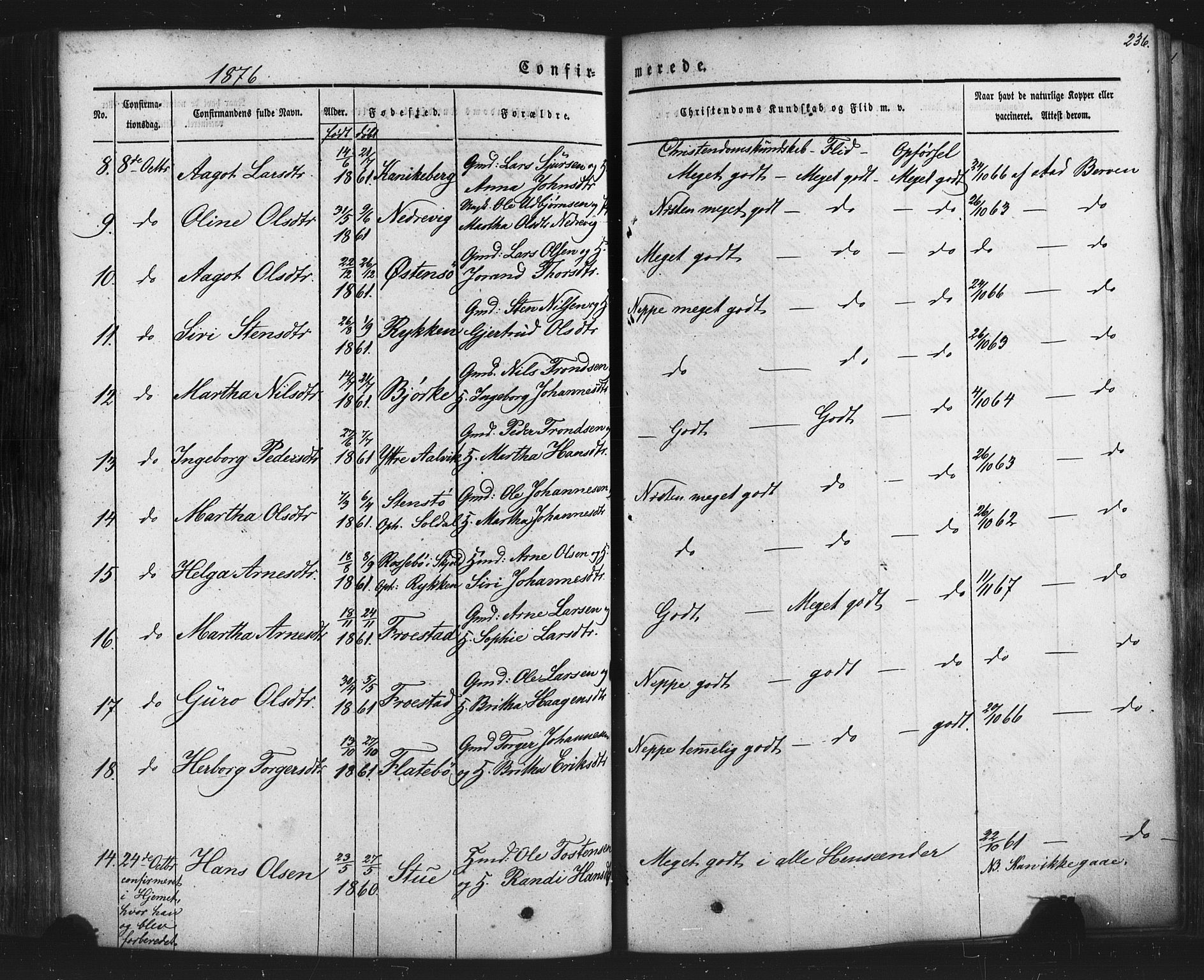 Kvam sokneprestembete, AV/SAB-A-76201/H/Haa: Parish register (official) no. A 9, 1864-1879, p. 236