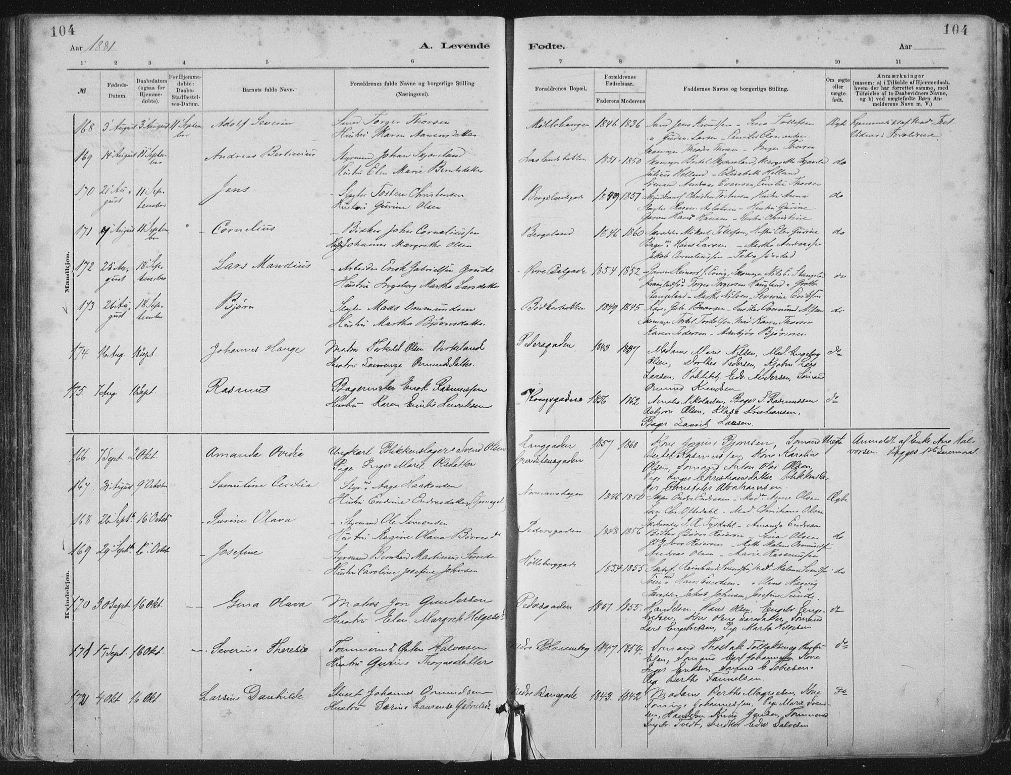 St. Petri sokneprestkontor, AV/SAST-A-101813/001/30/30BA/L0015: Parish register (official) no. A 15, 1879-1888, p. 104