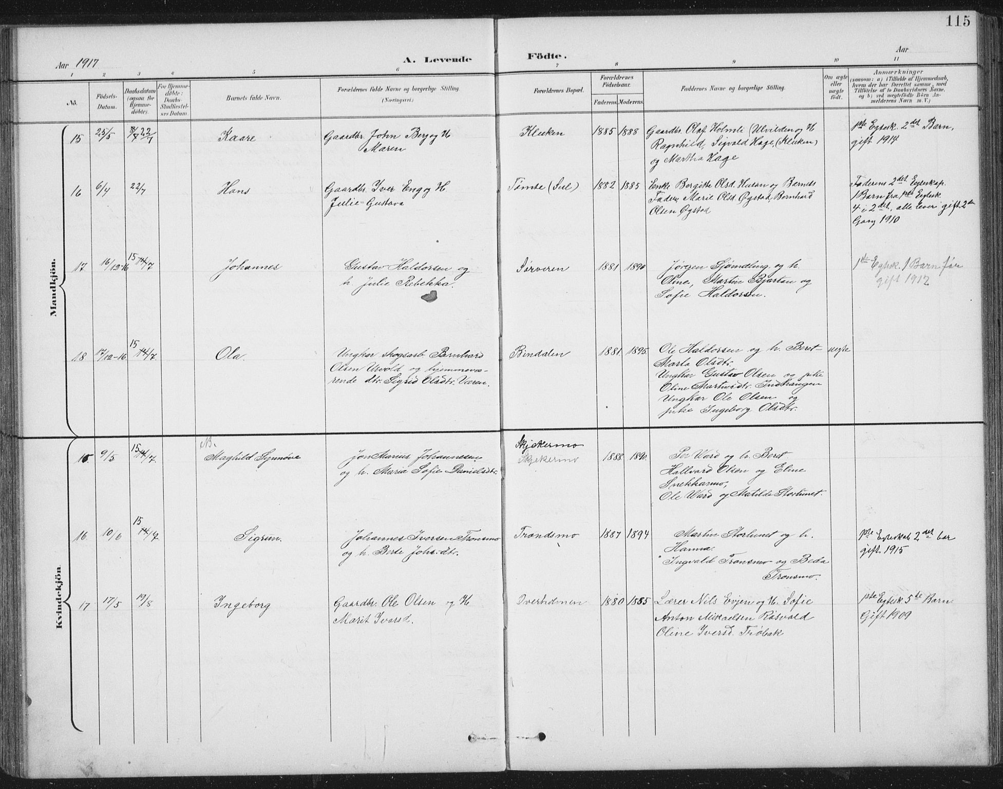 Ministerialprotokoller, klokkerbøker og fødselsregistre - Nord-Trøndelag, SAT/A-1458/724/L0269: Parish register (copy) no. 724C05, 1899-1920, p. 115