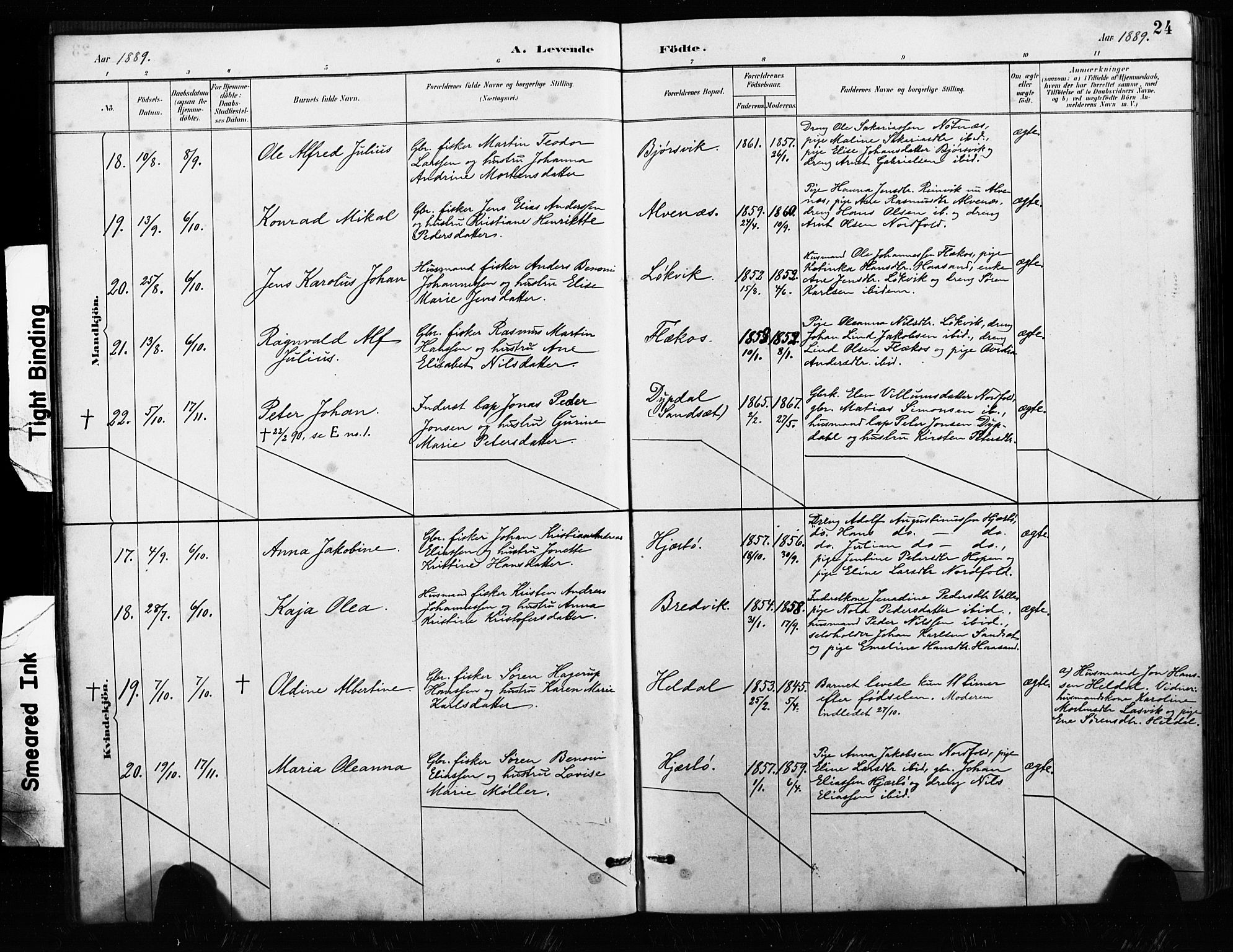 Ministerialprotokoller, klokkerbøker og fødselsregistre - Nordland, AV/SAT-A-1459/858/L0834: Parish register (copy) no. 858C01, 1884-1904, p. 24