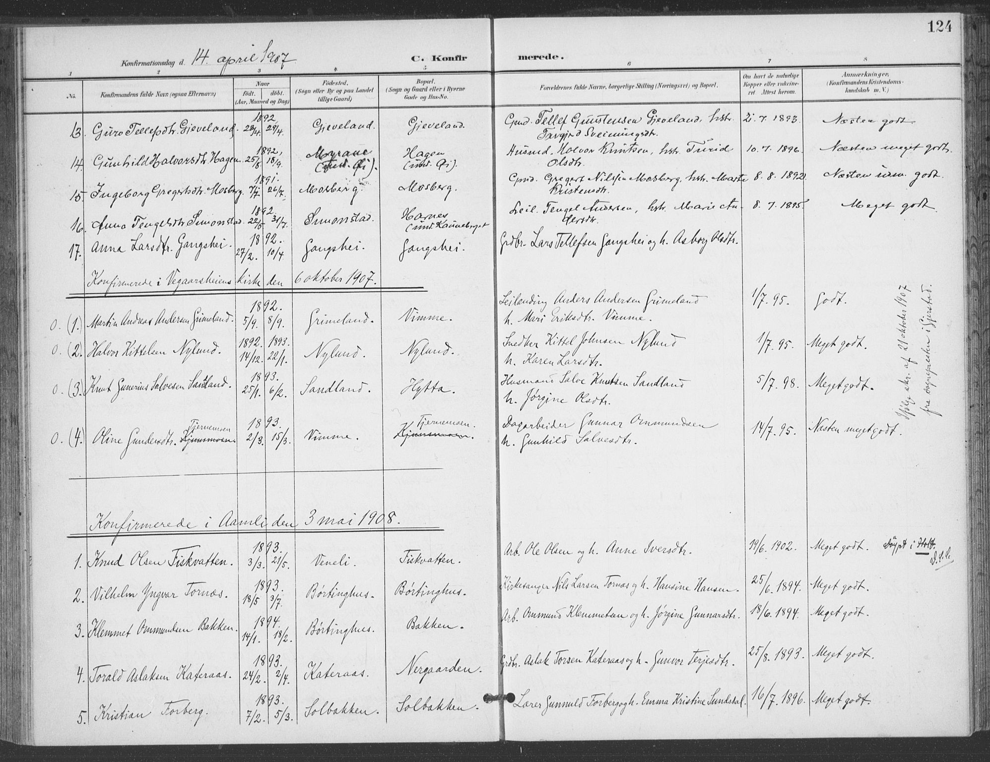 Åmli sokneprestkontor, AV/SAK-1111-0050/F/Fa/Fac/L0012: Parish register (official) no. A 12, 1900-1914, p. 124