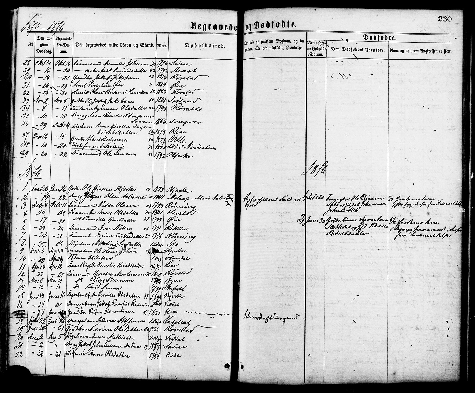 Ministerialprotokoller, klokkerbøker og fødselsregistre - Møre og Romsdal, AV/SAT-A-1454/515/L0210: Parish register (official) no. 515A06, 1868-1885, p. 230