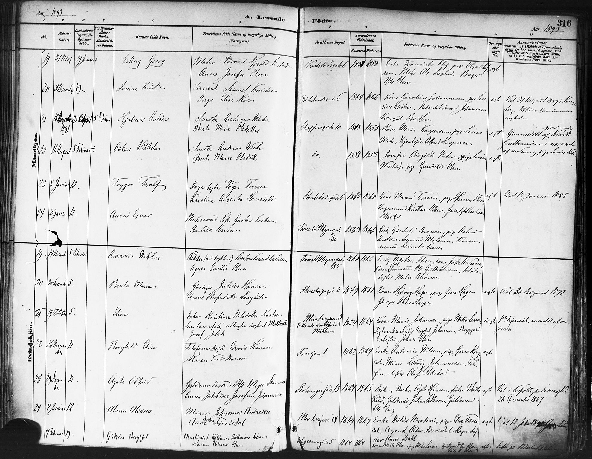 Paulus prestekontor Kirkebøker, AV/SAO-A-10871/F/Fa/L0013: Parish register (official) no. 13, 1887-1894, p. 316