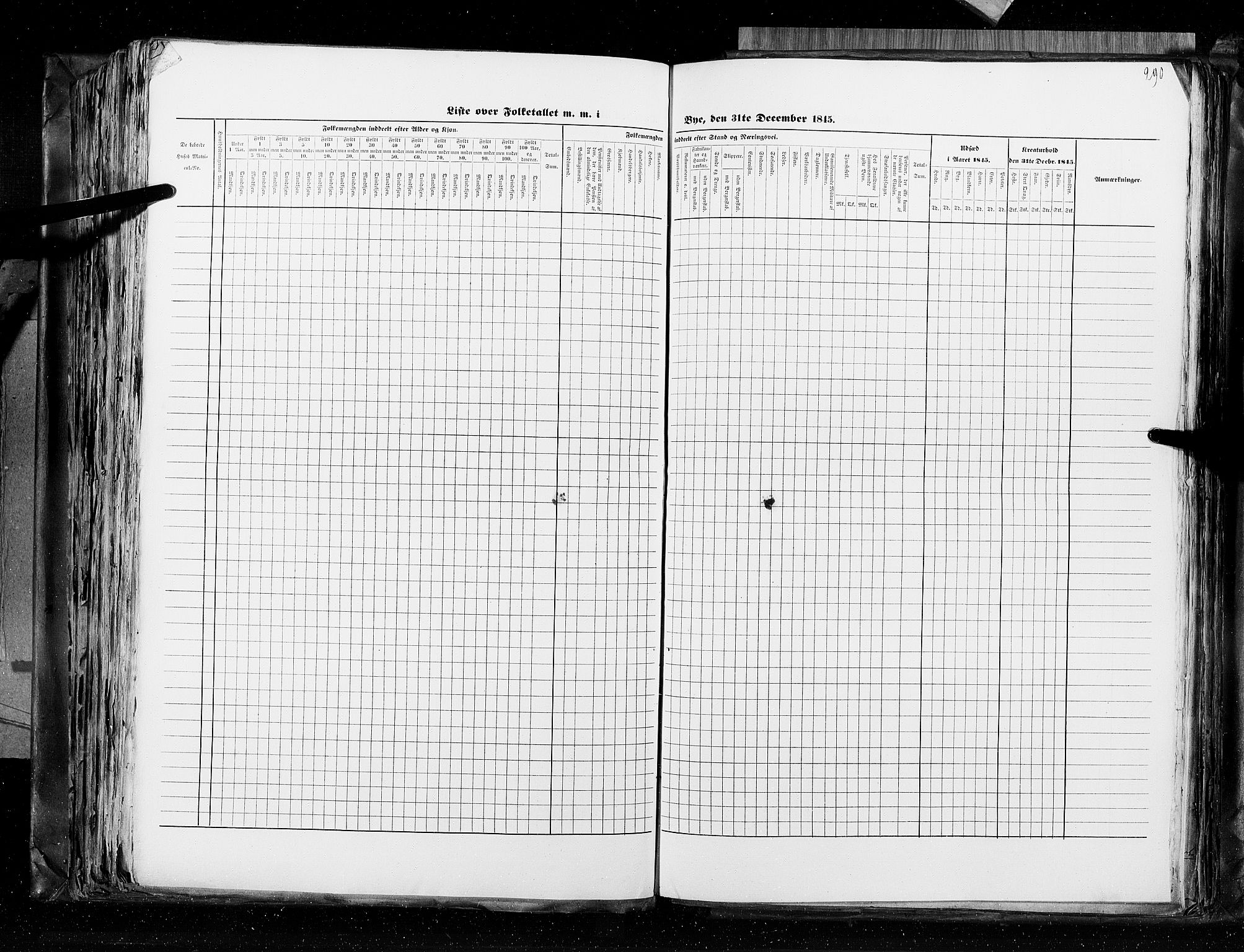 RA, Census 1845, vol. 10: Cities, 1845, p. 290