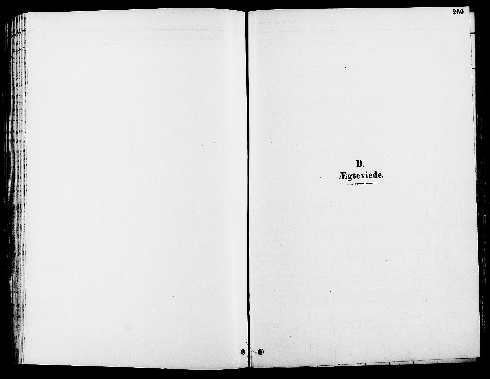 Løten prestekontor, SAH/PREST-022/L/La/L0006: Parish register (copy) no. 6, 1892-1909, p. 260
