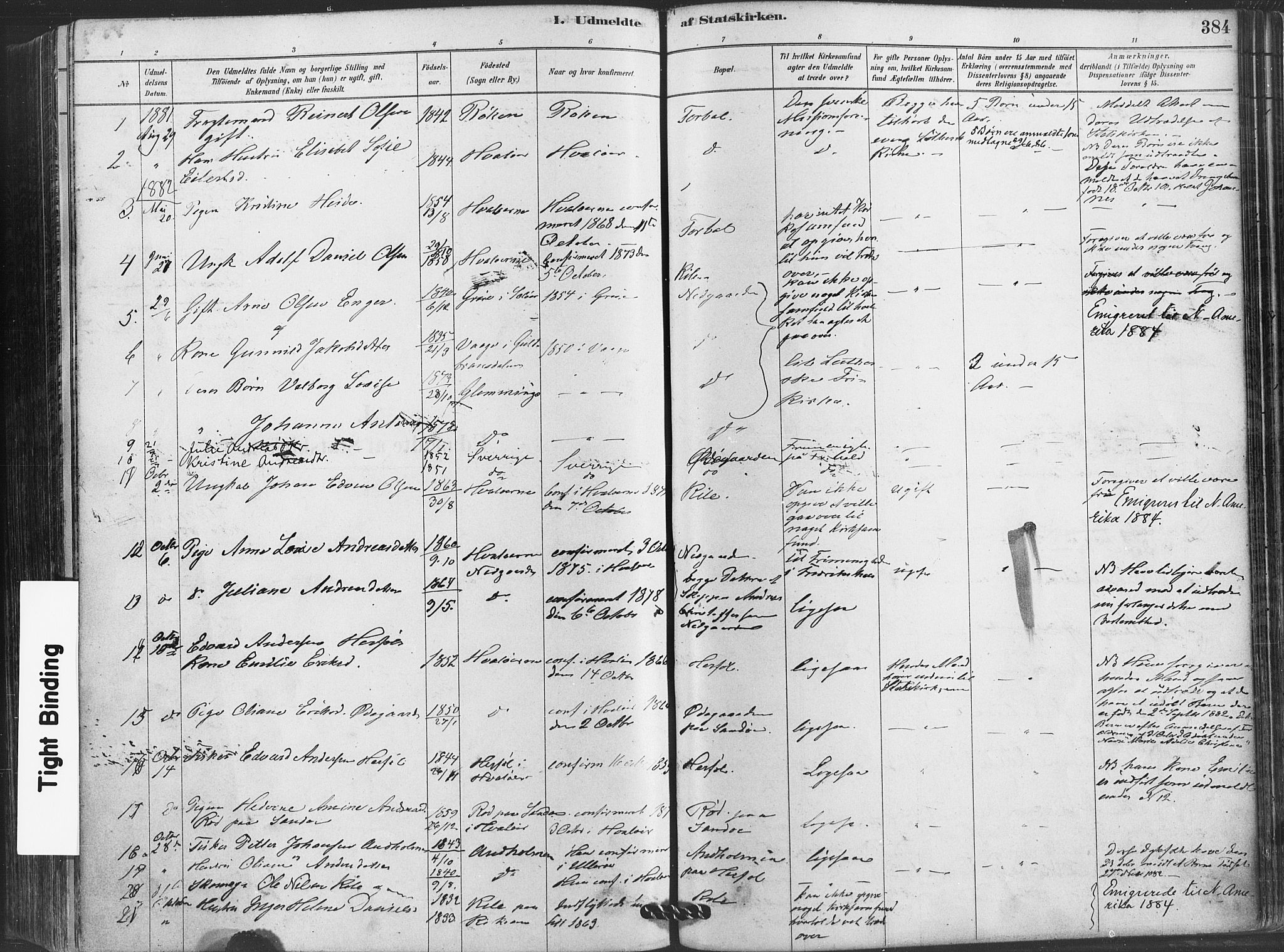 Hvaler prestekontor Kirkebøker, AV/SAO-A-2001/F/Fa/L0008: Parish register (official) no. I 8, 1878-1895, p. 384