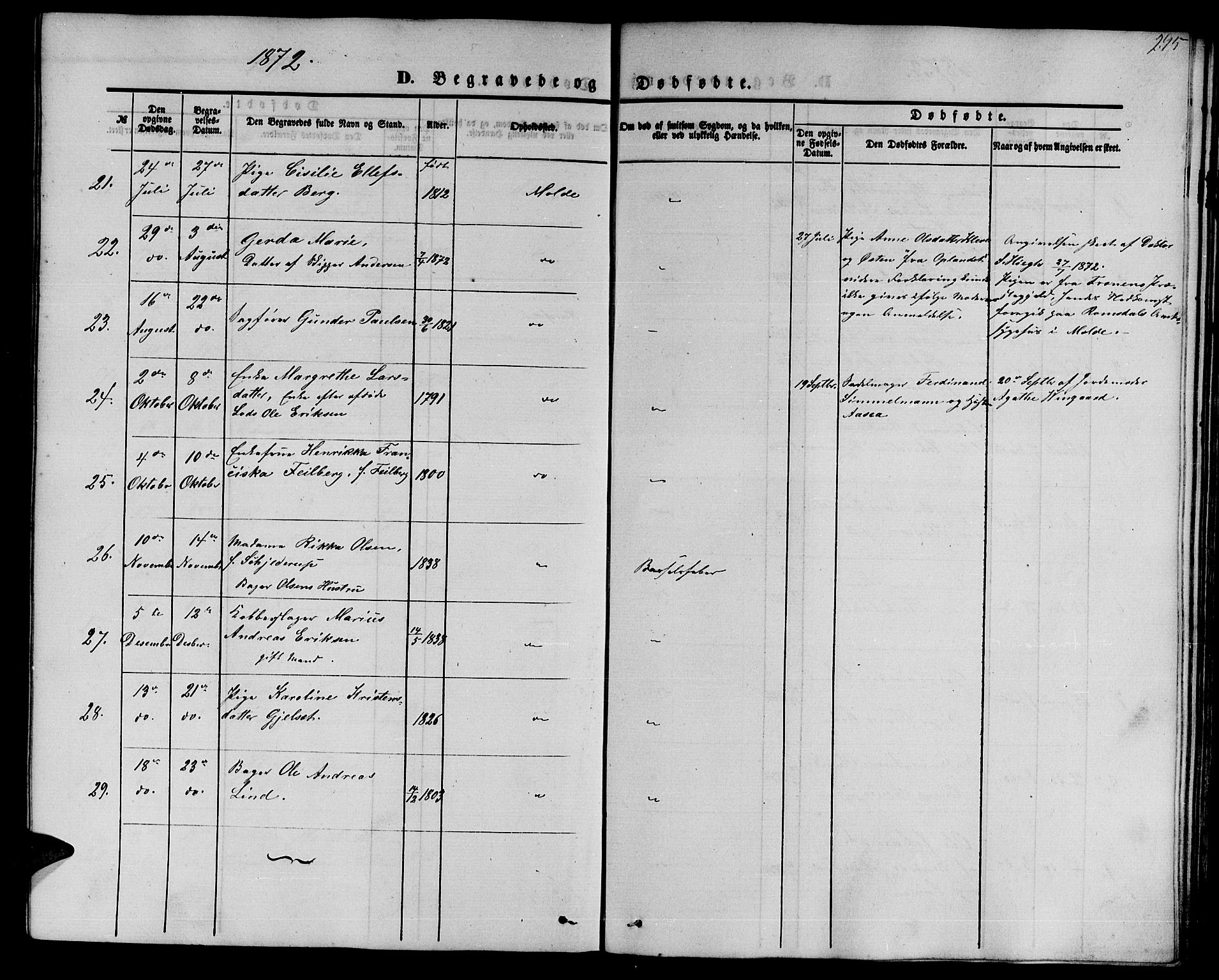 Ministerialprotokoller, klokkerbøker og fødselsregistre - Møre og Romsdal, AV/SAT-A-1454/558/L0701: Parish register (copy) no. 558C02, 1862-1879, p. 295