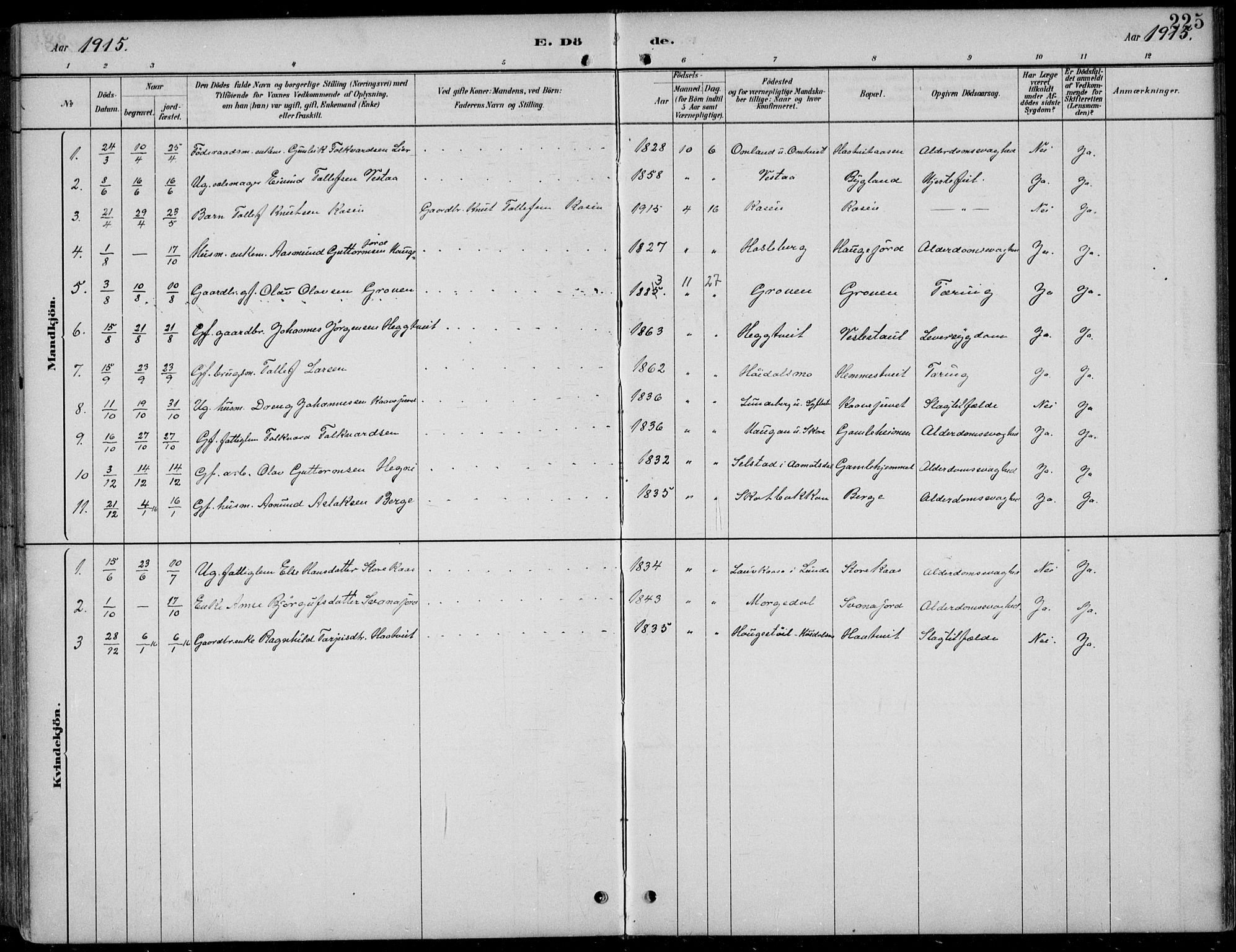 Kviteseid kirkebøker, AV/SAKO-A-276/F/Fb/L0002: Parish register (official) no. II 2, 1882-1916, p. 225