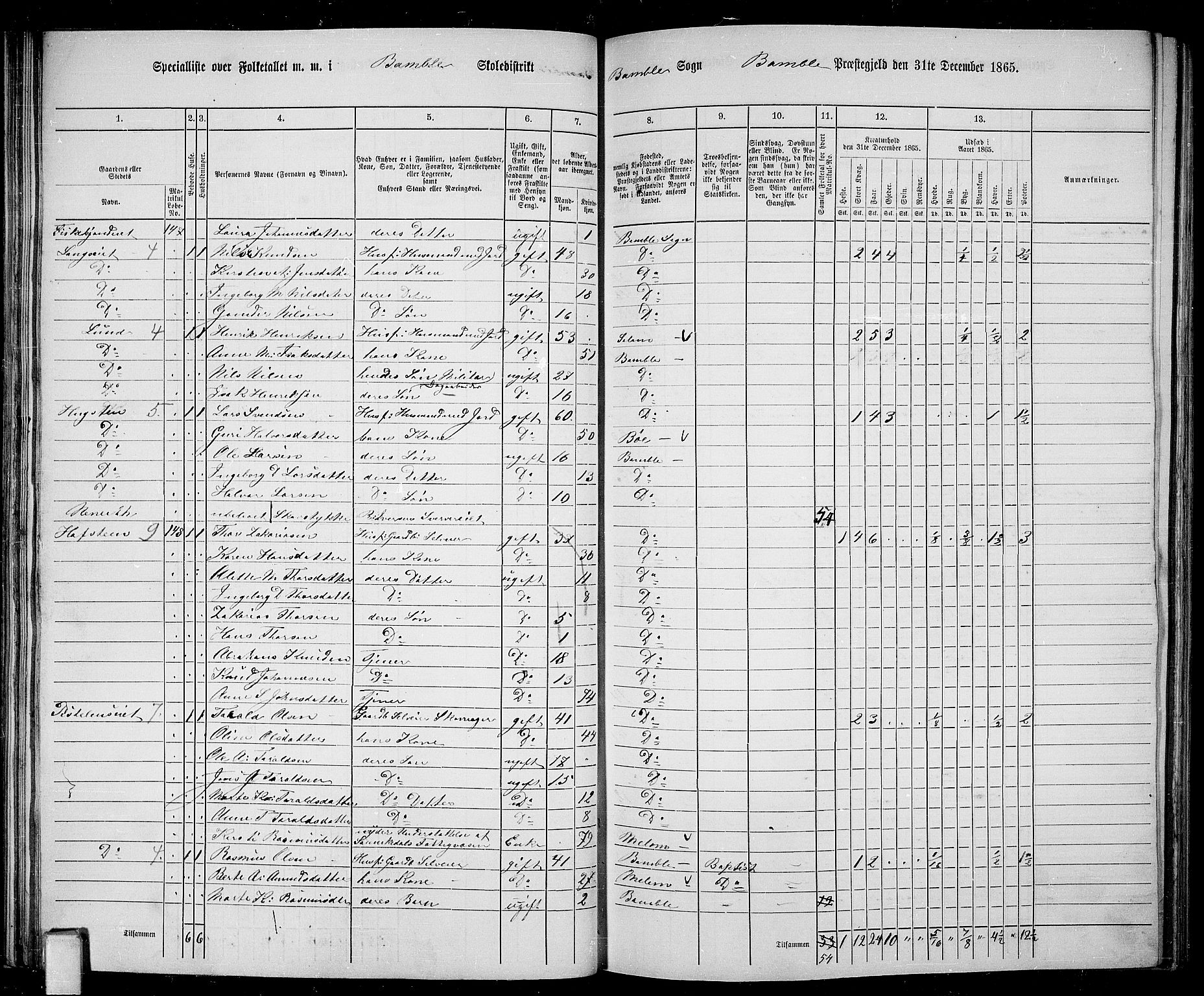 RA, 1865 census for Bamble, 1865, p. 79