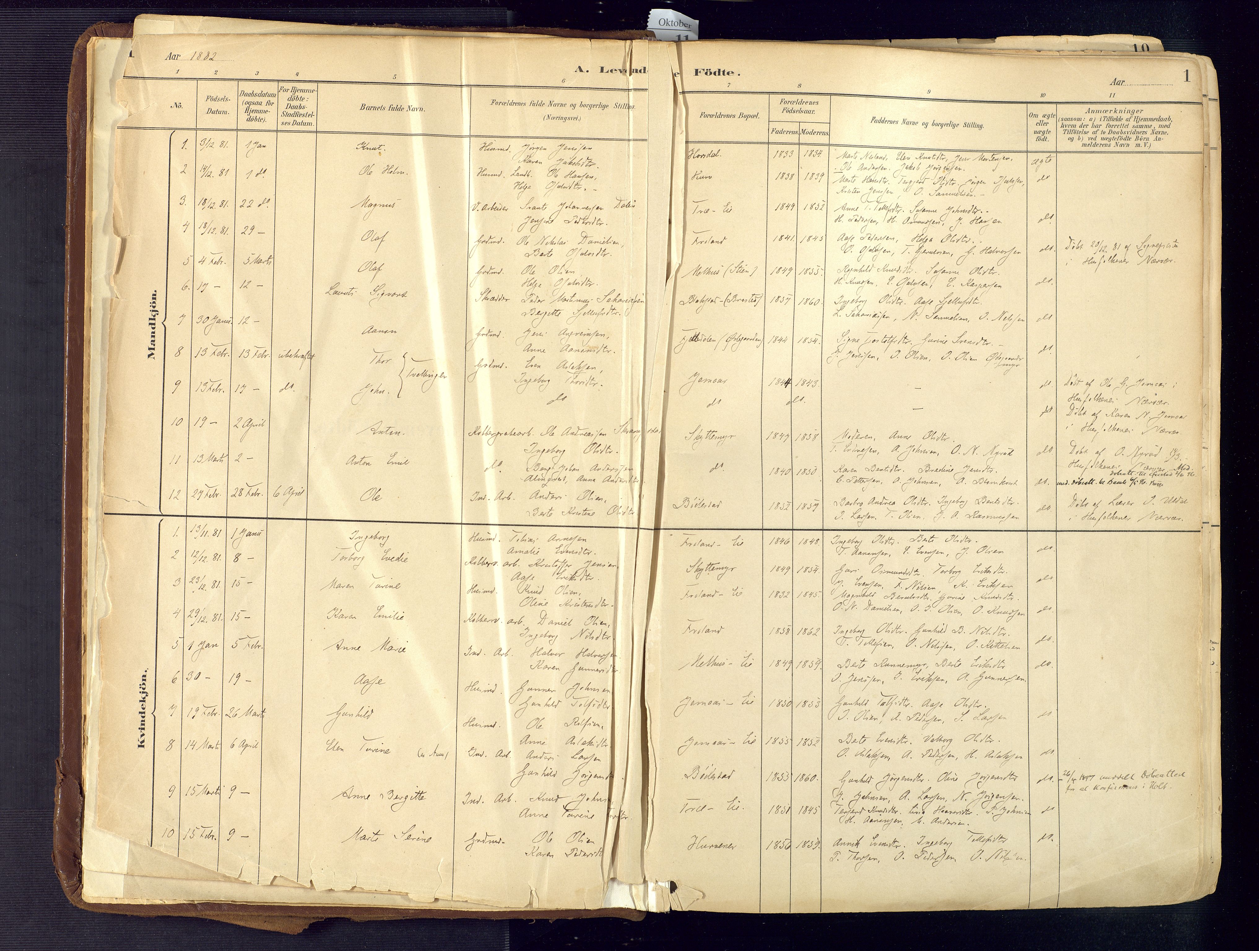 Froland sokneprestkontor, SAK/1111-0013/F/Fa/L0005: Parish register (official) no. A 5, 1882-1921, p. 1