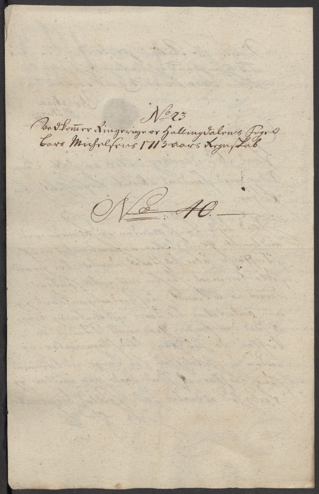 Rentekammeret inntil 1814, Reviderte regnskaper, Fogderegnskap, RA/EA-4092/R23/L1471: Fogderegnskap Ringerike og Hallingdal, 1713-1714, p. 275