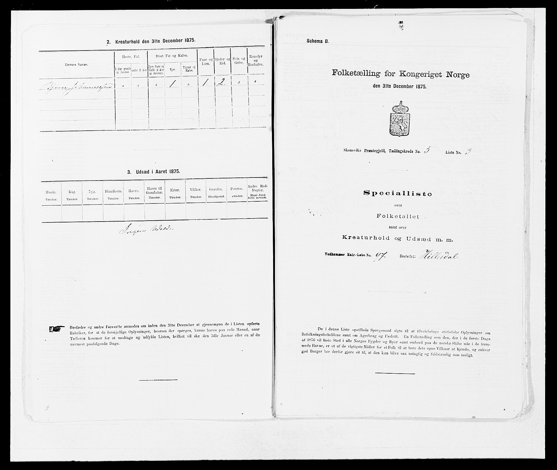 SAB, 1875 census for 1212P Skånevik, 1875, p. 456