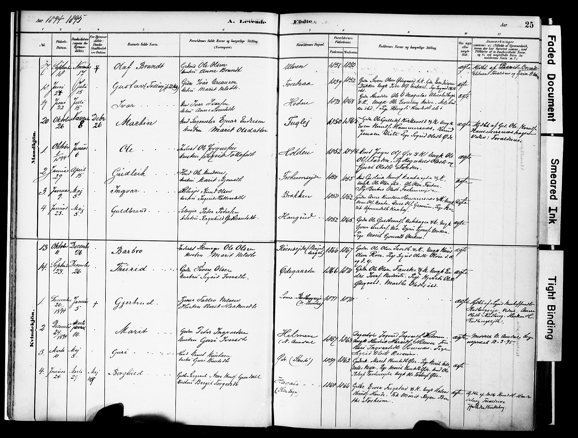 Vestre Slidre prestekontor, SAH/PREST-136/H/Ha/Haa/L0006: Parish register (official) no. 6, 1881-1912, p. 25