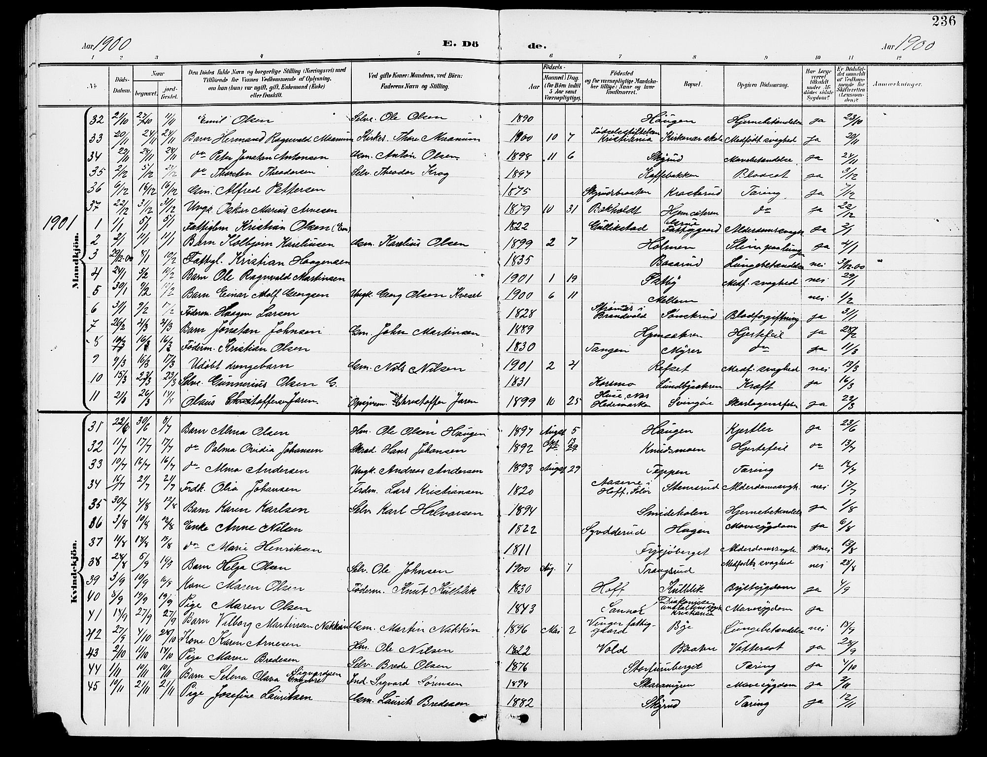 Grue prestekontor, AV/SAH-PREST-036/H/Ha/Hab/L0005: Parish register (copy) no. 5, 1900-1909, p. 236