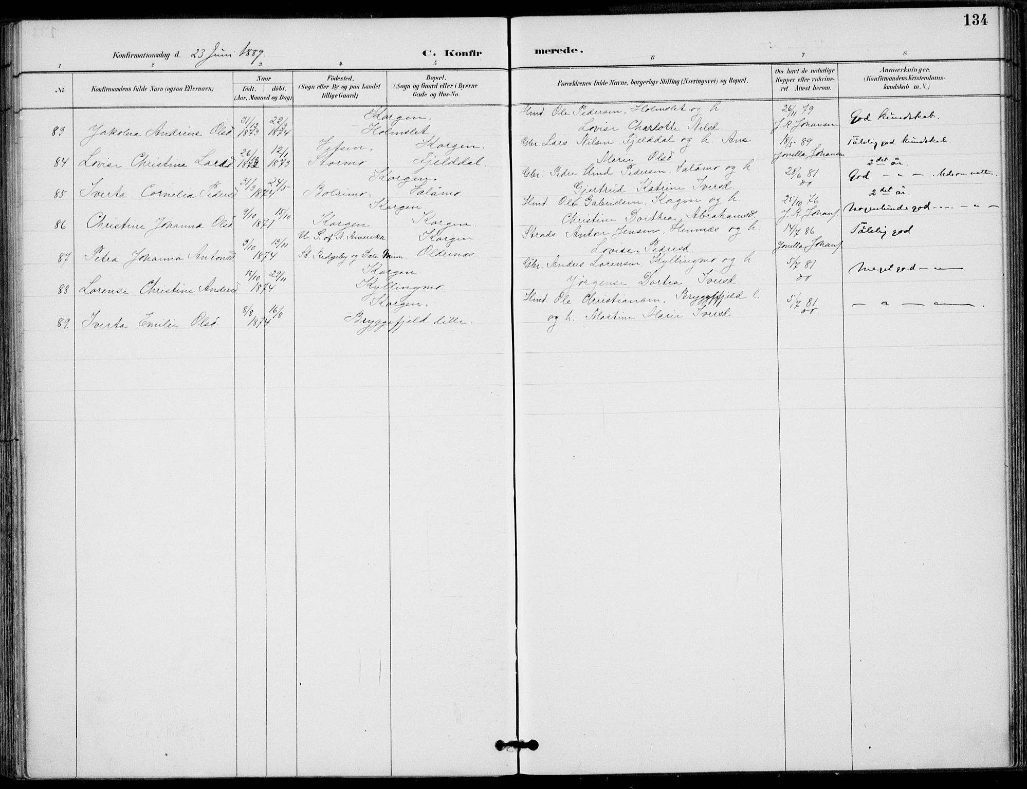 Ministerialprotokoller, klokkerbøker og fødselsregistre - Nordland, AV/SAT-A-1459/825/L0362: Parish register (official) no. 825A16, 1886-1908, p. 134