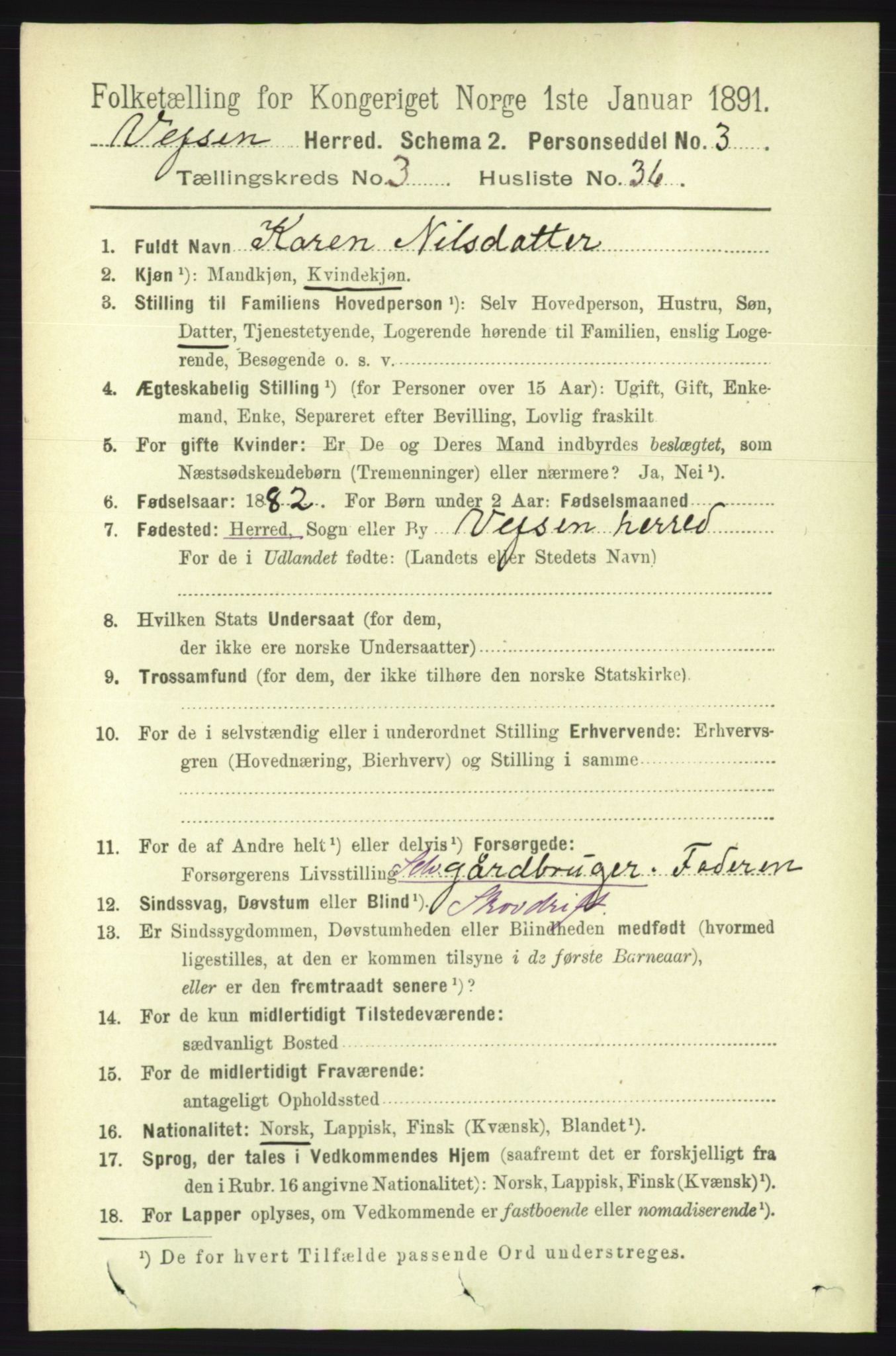 RA, 1891 census for 1824 Vefsn, 1891, p. 1529