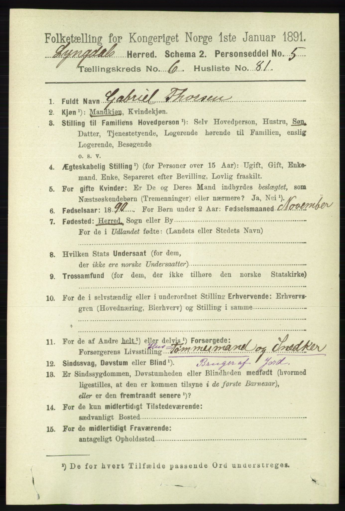 RA, 1891 census for 1032 Lyngdal, 1891, p. 2826