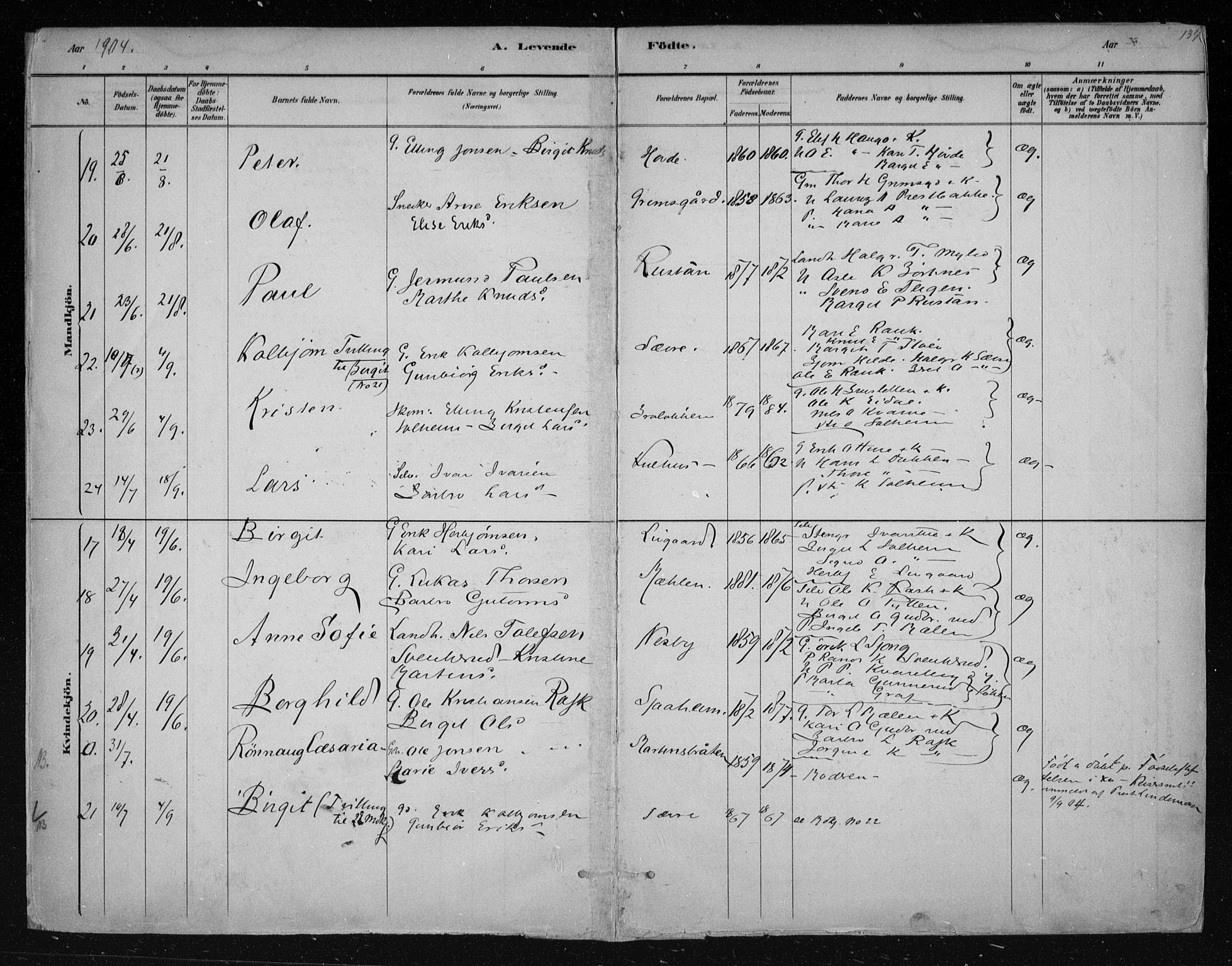 Nes kirkebøker, AV/SAKO-A-236/F/Fa/L0011: Parish register (official) no. 11, 1881-1912, p. 134