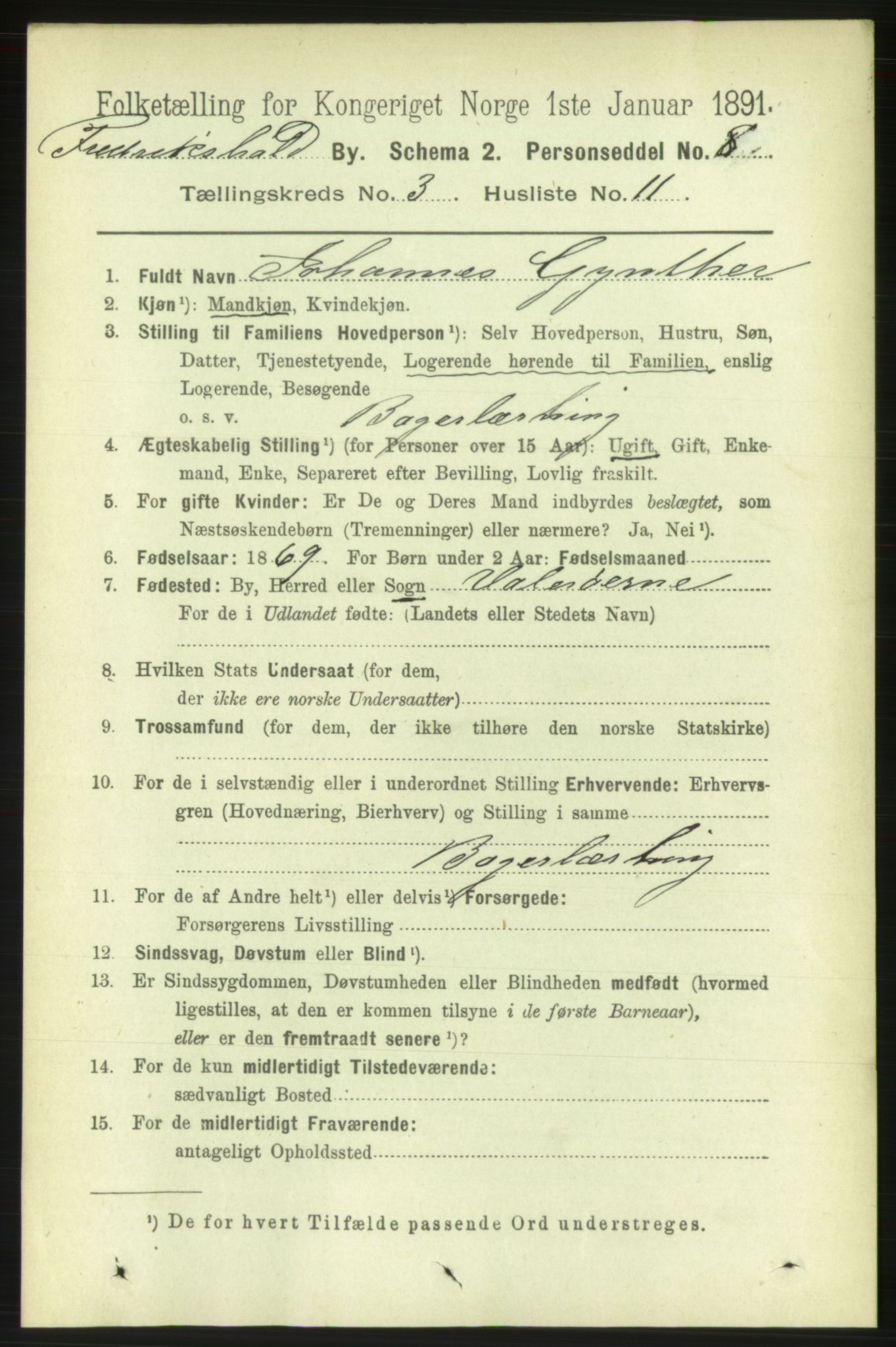 RA, 1891 census for 0101 Fredrikshald, 1891, p. 3390