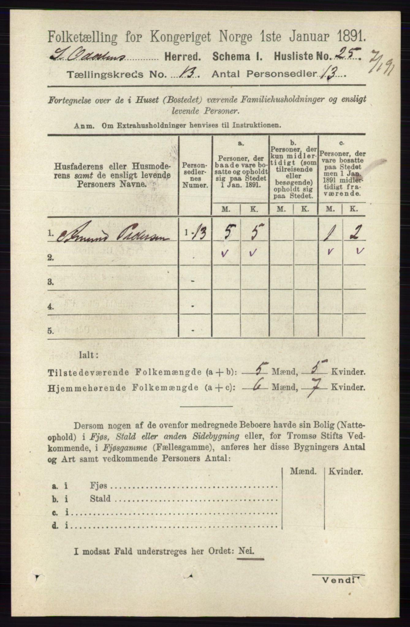 RA, 1891 census for 0419 Sør-Odal, 1891, p. 5531