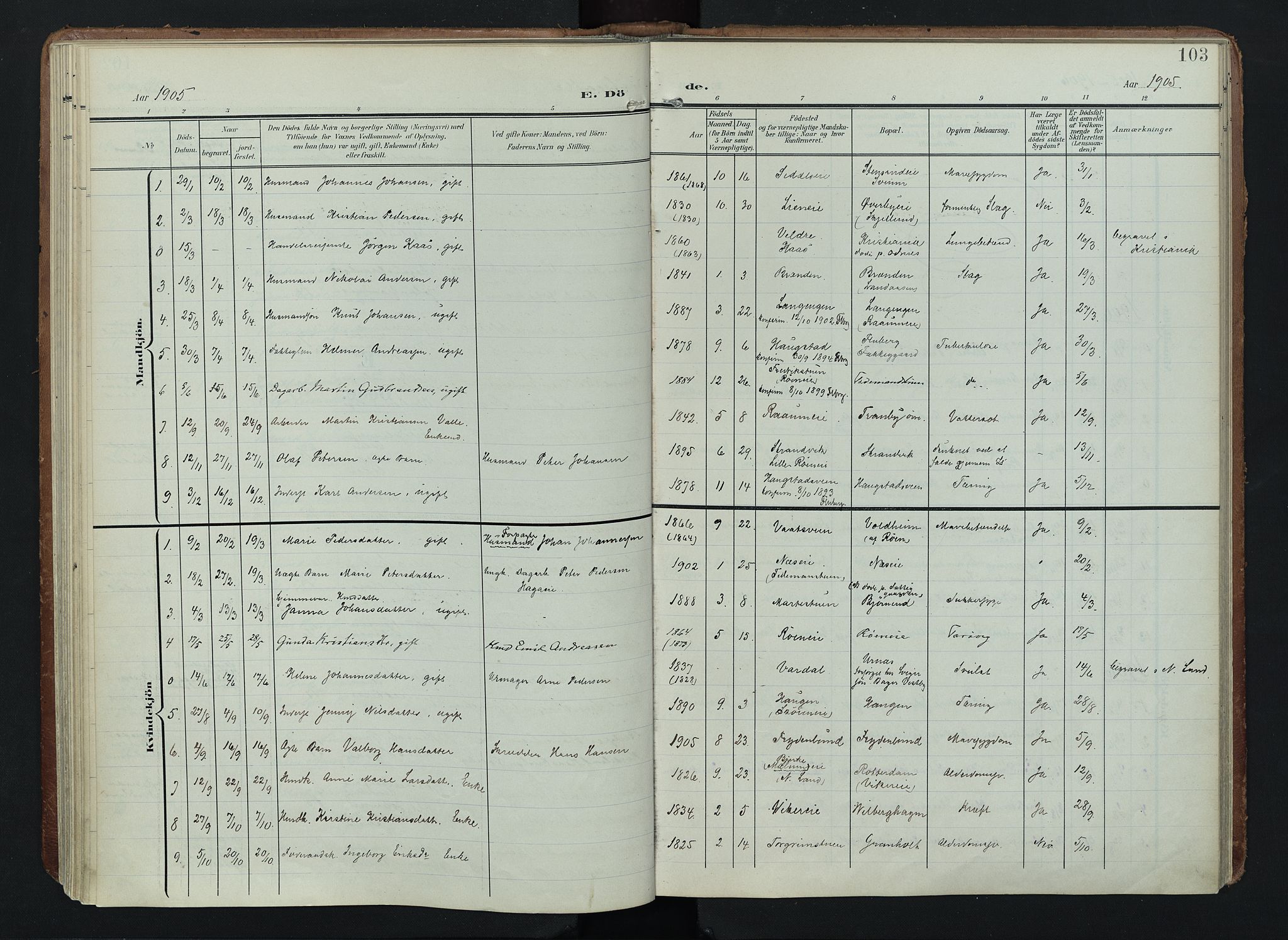 Søndre Land prestekontor, AV/SAH-PREST-122/K/L0005: Parish register (official) no. 5, 1905-1914, p. 103