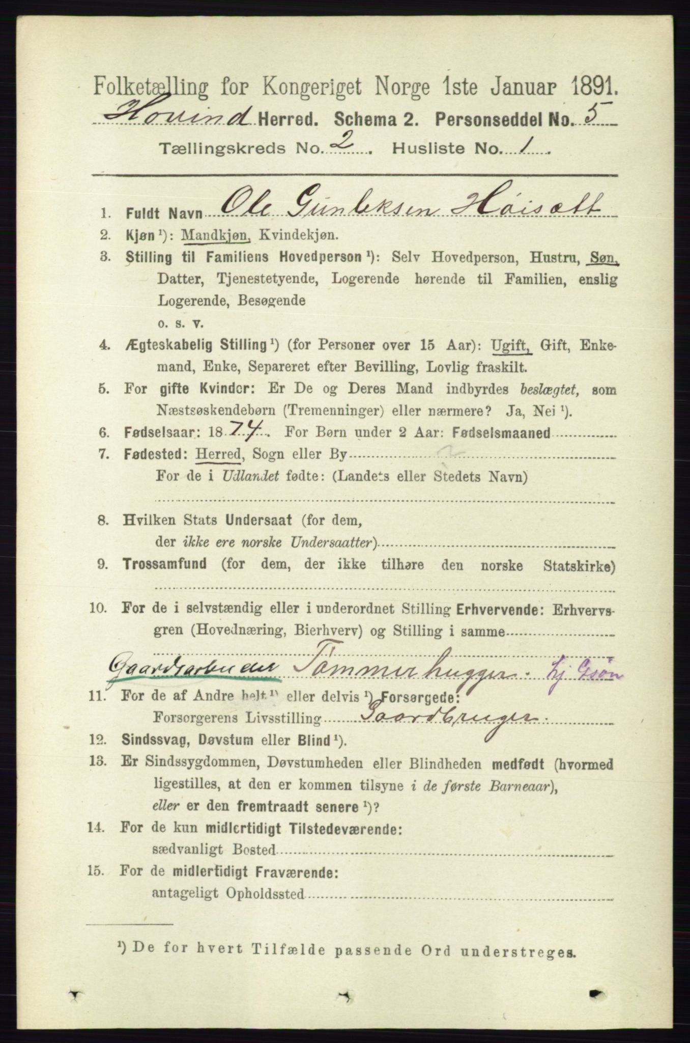 RA, 1891 census for 0825 Hovin, 1891, p. 494