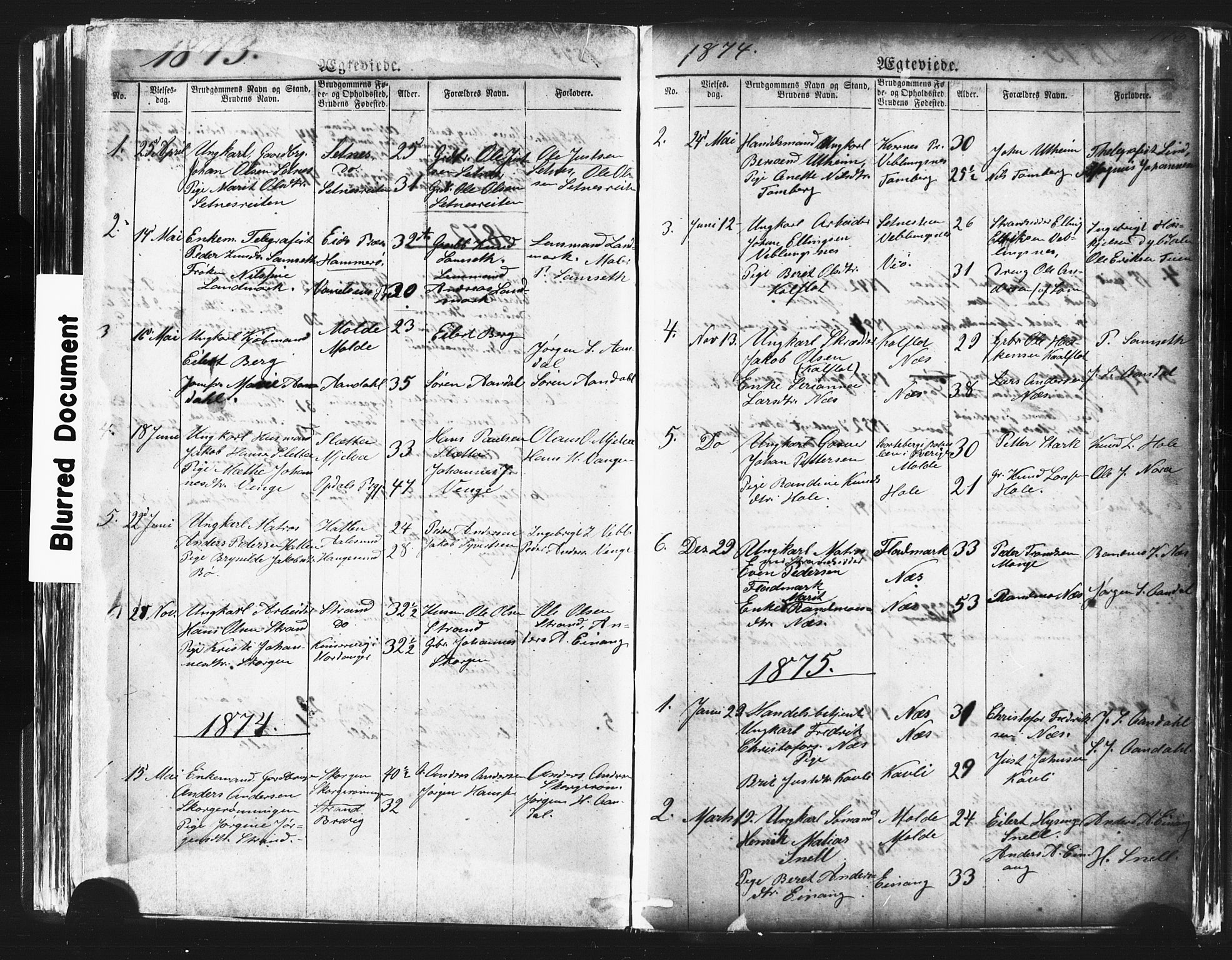 Ministerialprotokoller, klokkerbøker og fødselsregistre - Møre og Romsdal, SAT/A-1454/544/L0580: Parish register (copy) no. 544C02, 1867-1909, p. 196