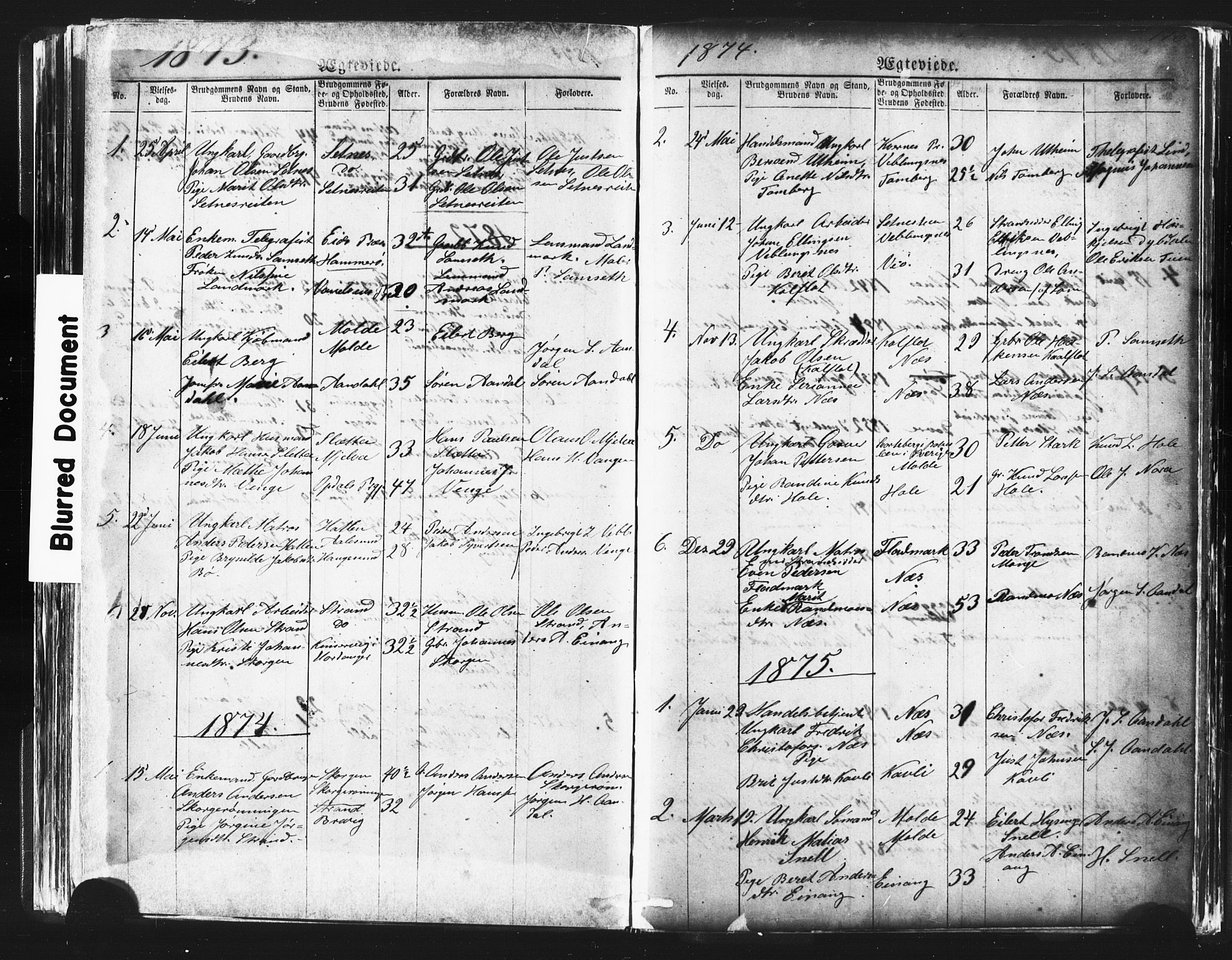 Ministerialprotokoller, klokkerbøker og fødselsregistre - Møre og Romsdal, AV/SAT-A-1454/544/L0580: Parish register (copy) no. 544C02, 1867-1909, p. 196