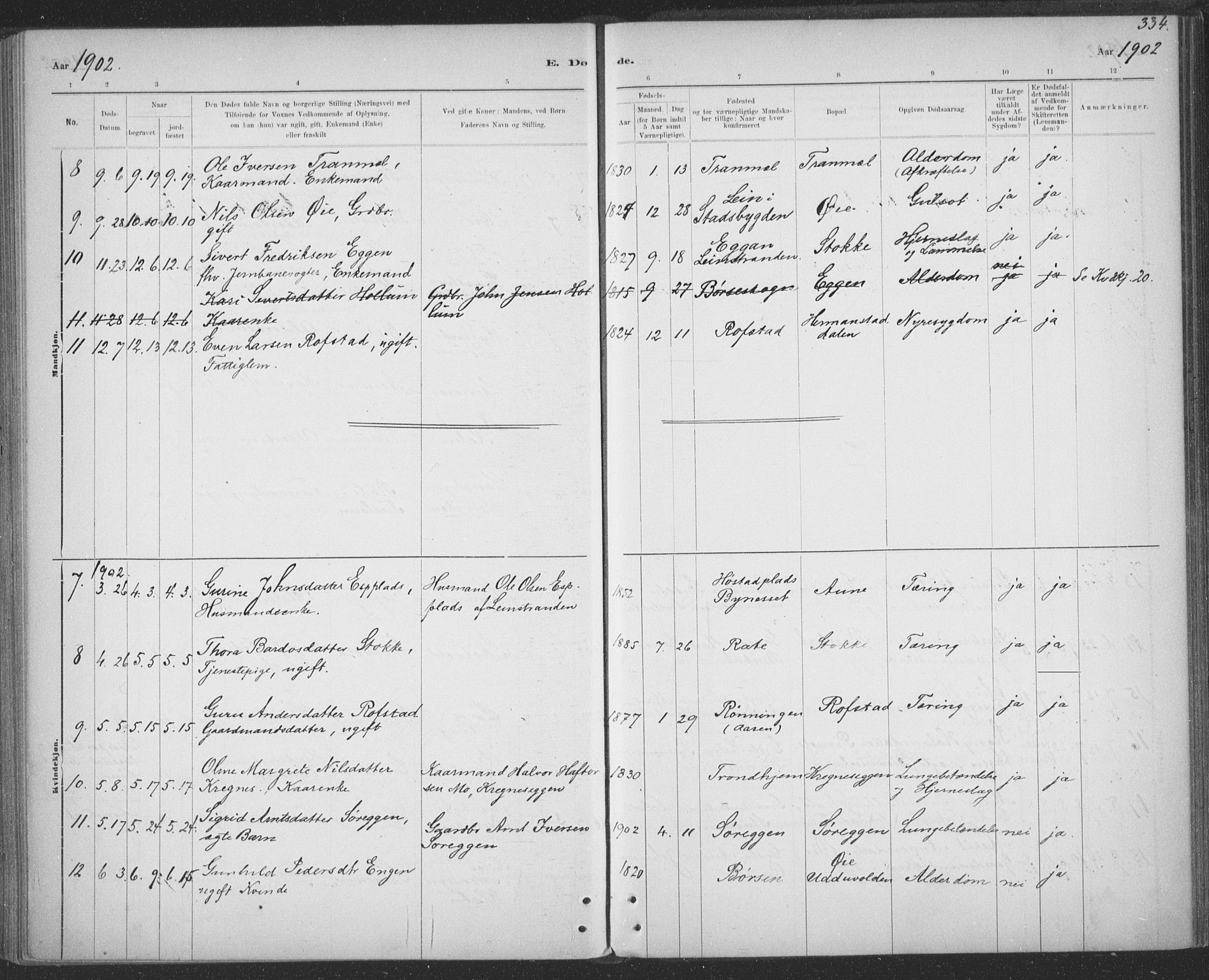 Ministerialprotokoller, klokkerbøker og fødselsregistre - Sør-Trøndelag, SAT/A-1456/691/L1085: Parish register (official) no. 691A17, 1887-1908, p. 334