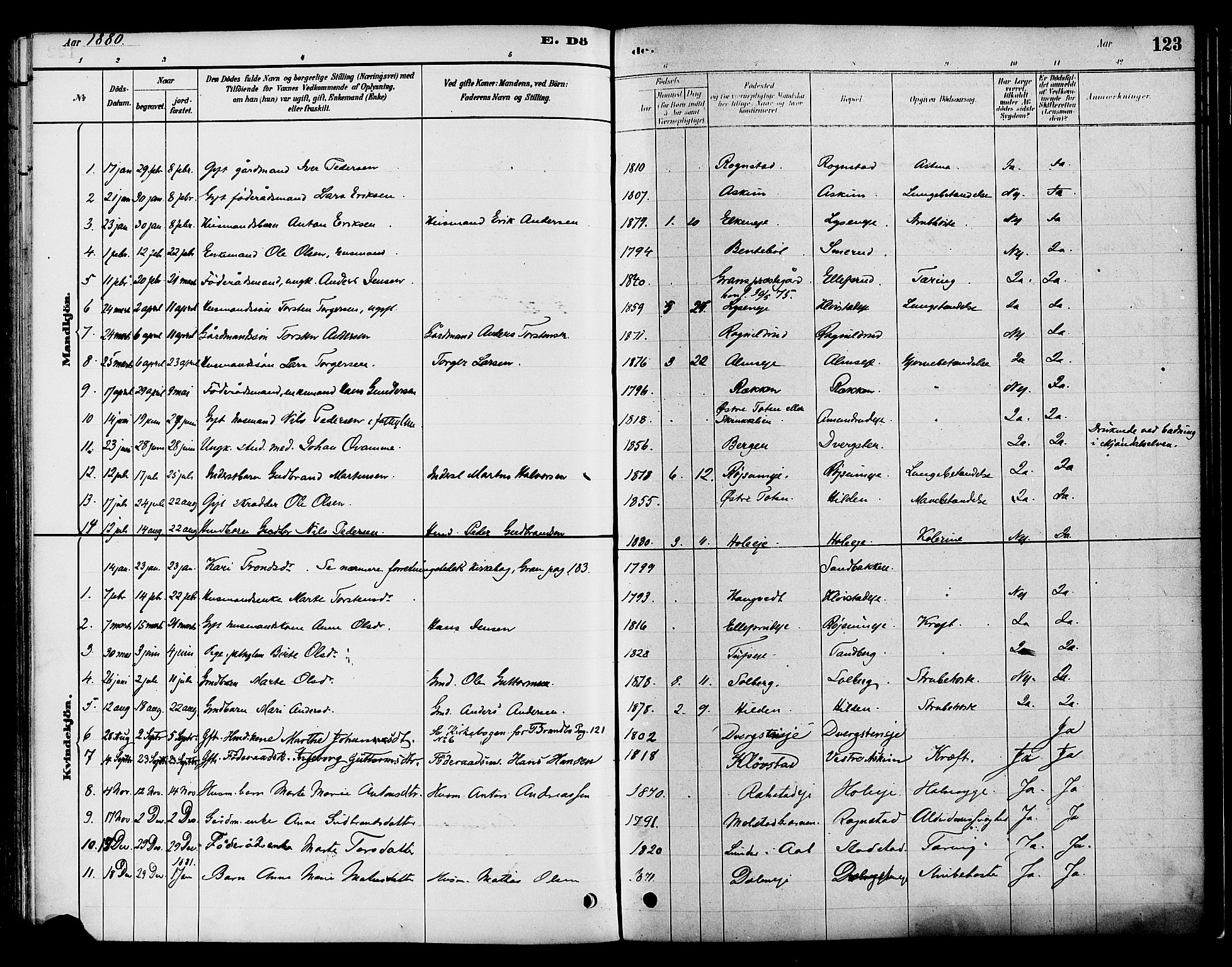 Gran prestekontor, AV/SAH-PREST-112/H/Ha/Haa/L0016: Parish register (official) no. 16, 1880-1888, p. 123