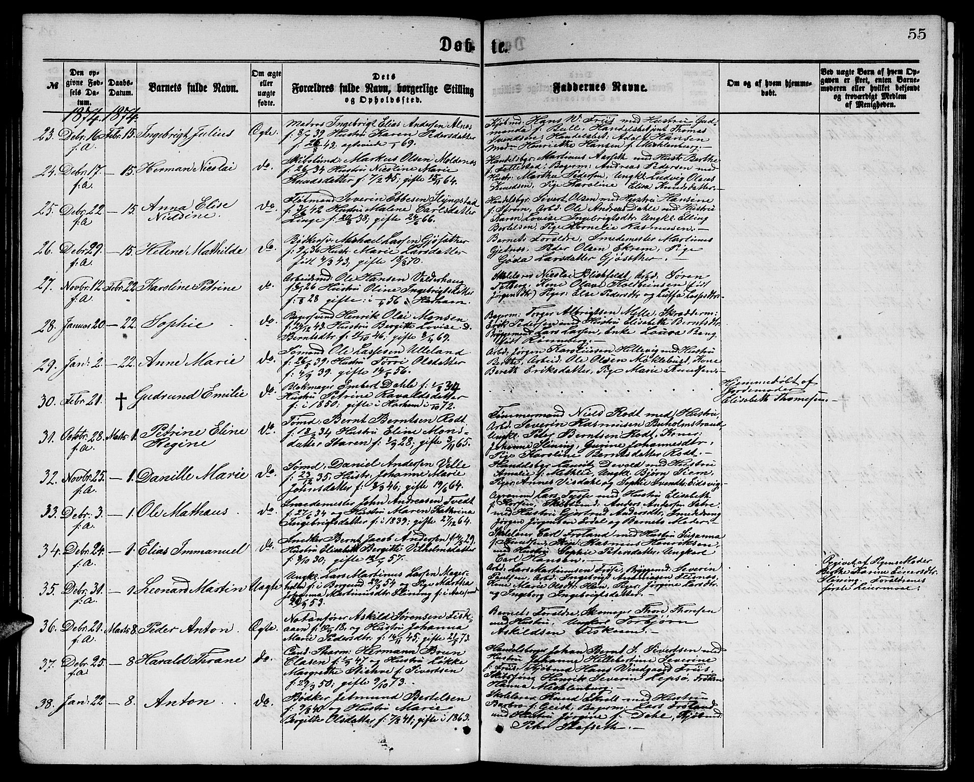 Ministerialprotokoller, klokkerbøker og fødselsregistre - Møre og Romsdal, SAT/A-1454/529/L0465: Parish register (copy) no. 529C02, 1868-1877, p. 55