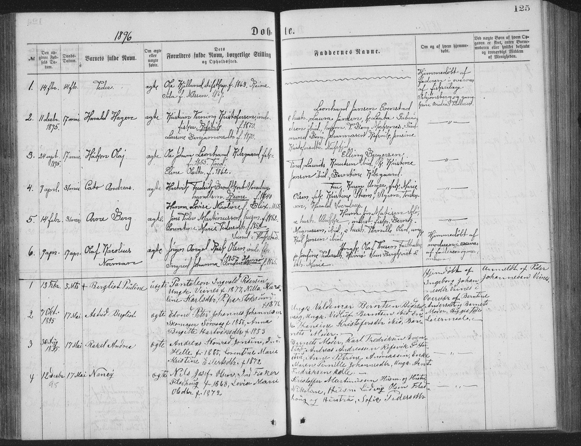 Ministerialprotokoller, klokkerbøker og fødselsregistre - Nordland, AV/SAT-A-1459/886/L1225: Parish register (copy) no. 886C02, 1874-1896, p. 125