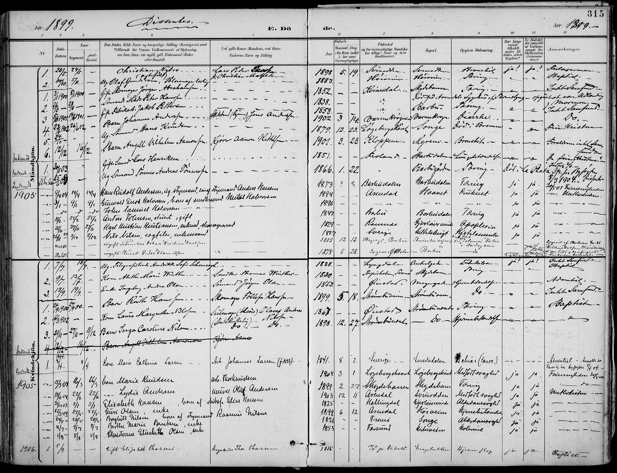 Barbu sokneprestkontor, AV/SAK-1111-0003/F/Fa/L0005: Parish register (official) no. A 5, 1899-1909, p. 315