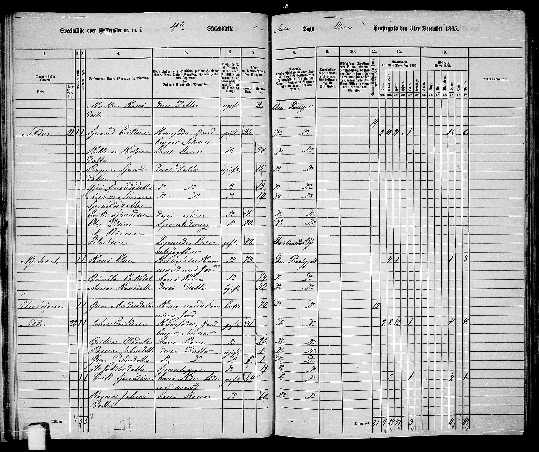 RA, 1865 census for Etne, 1865, p. 29