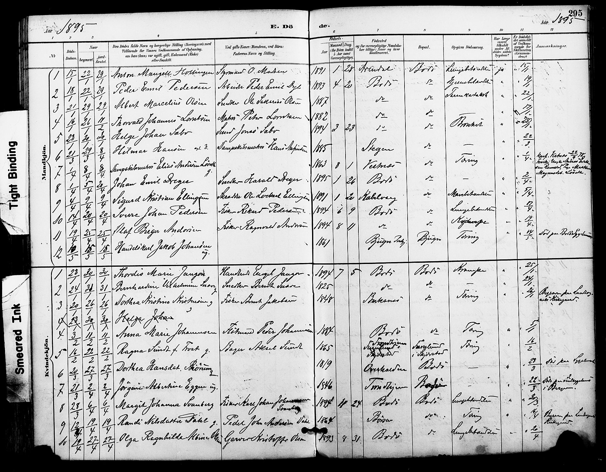 Ministerialprotokoller, klokkerbøker og fødselsregistre - Nordland, AV/SAT-A-1459/801/L0010: Parish register (official) no. 801A10, 1888-1899, p. 295