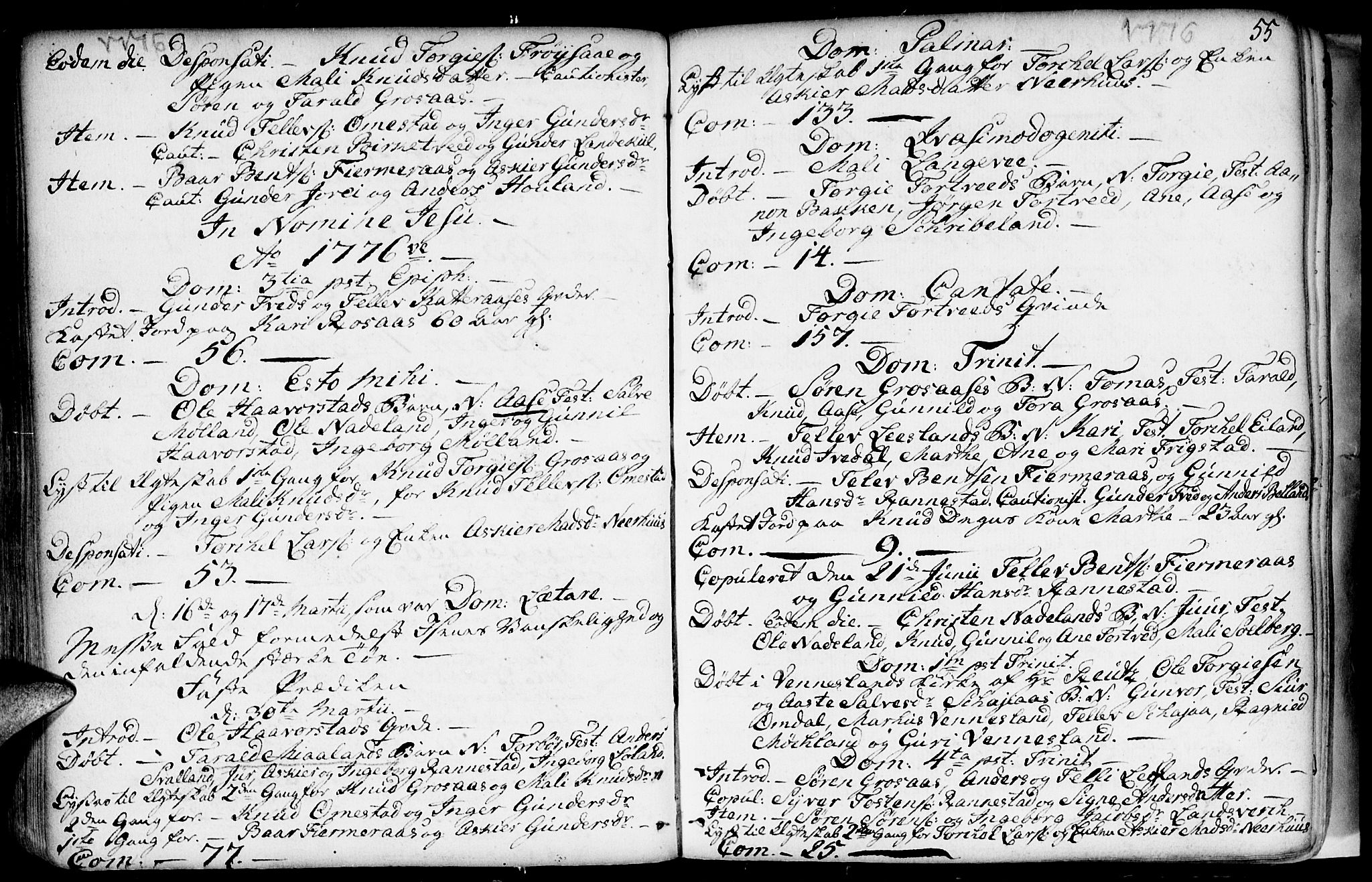 Evje sokneprestkontor, AV/SAK-1111-0008/F/Fa/Fac/L0002: Parish register (official) no. A 2, 1765-1816, p. 55