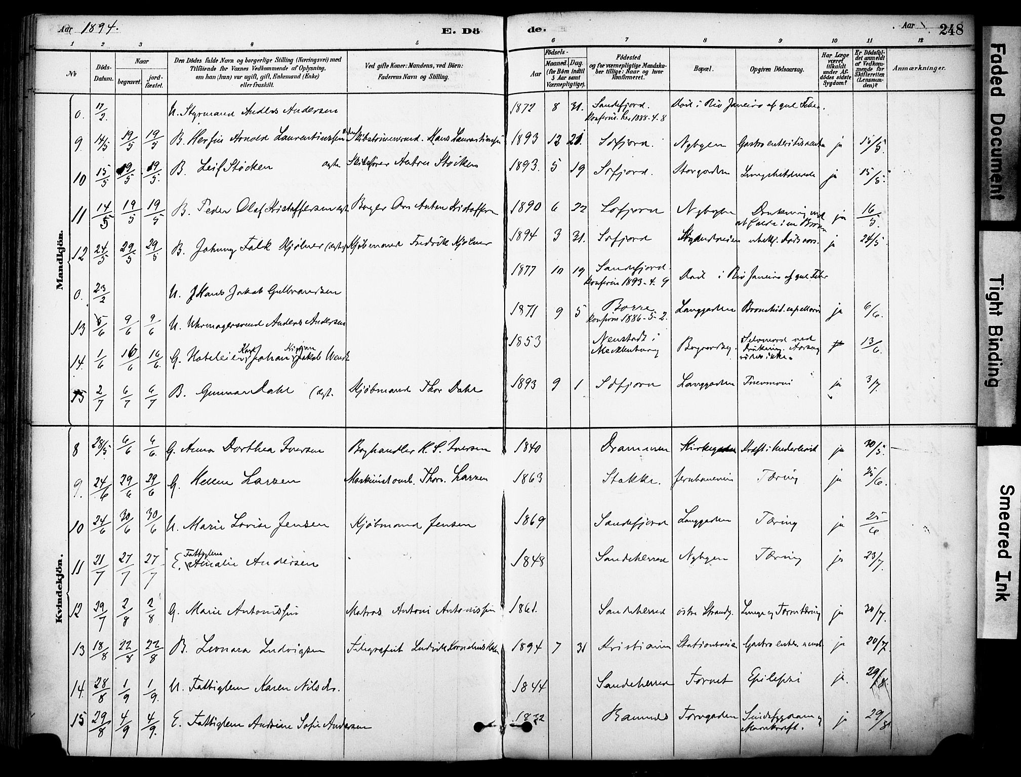 Sandefjord kirkebøker, AV/SAKO-A-315/F/Fa/L0002: Parish register (official) no. 2, 1880-1894, p. 248