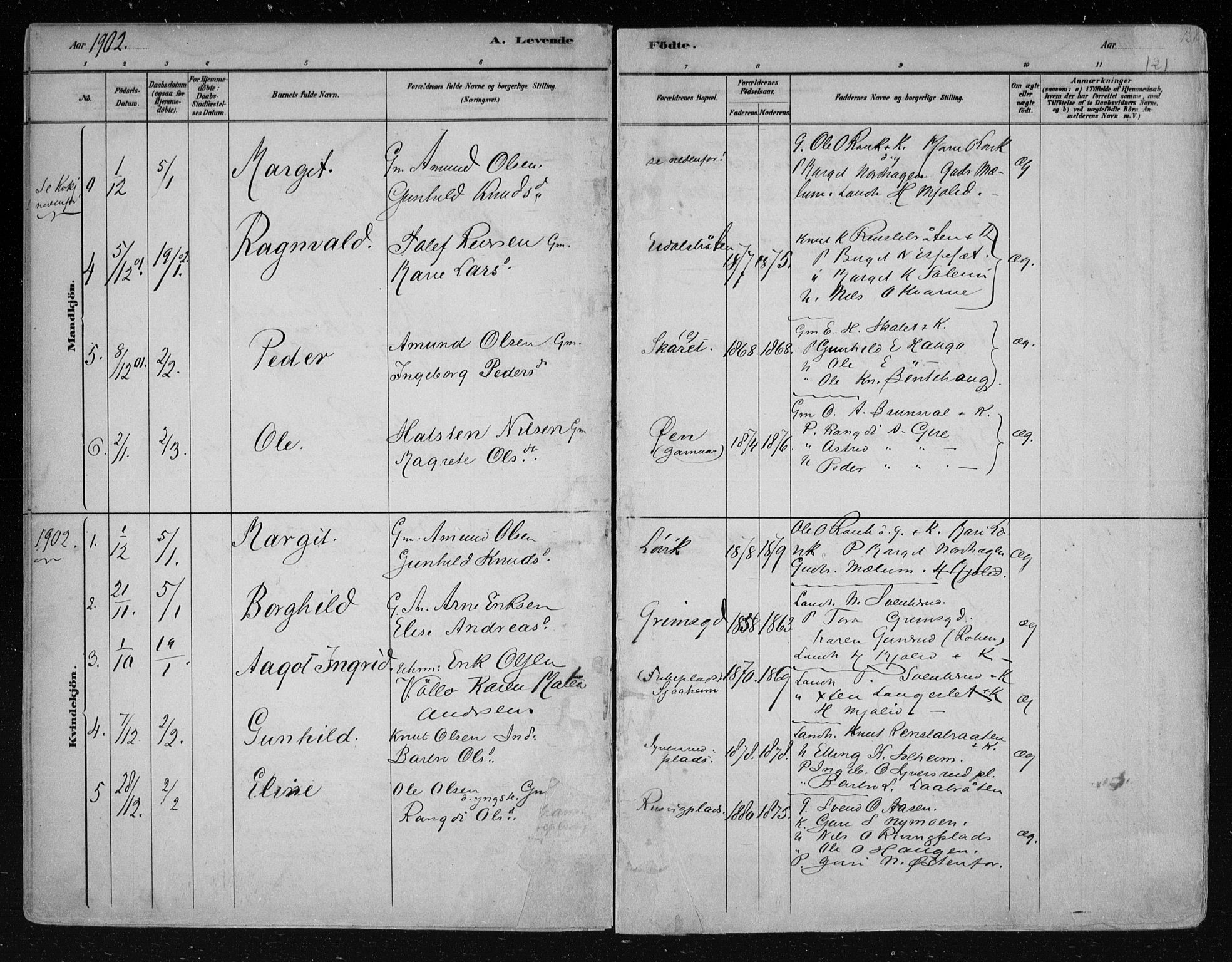 Nes kirkebøker, AV/SAKO-A-236/F/Fa/L0011: Parish register (official) no. 11, 1881-1912, p. 121