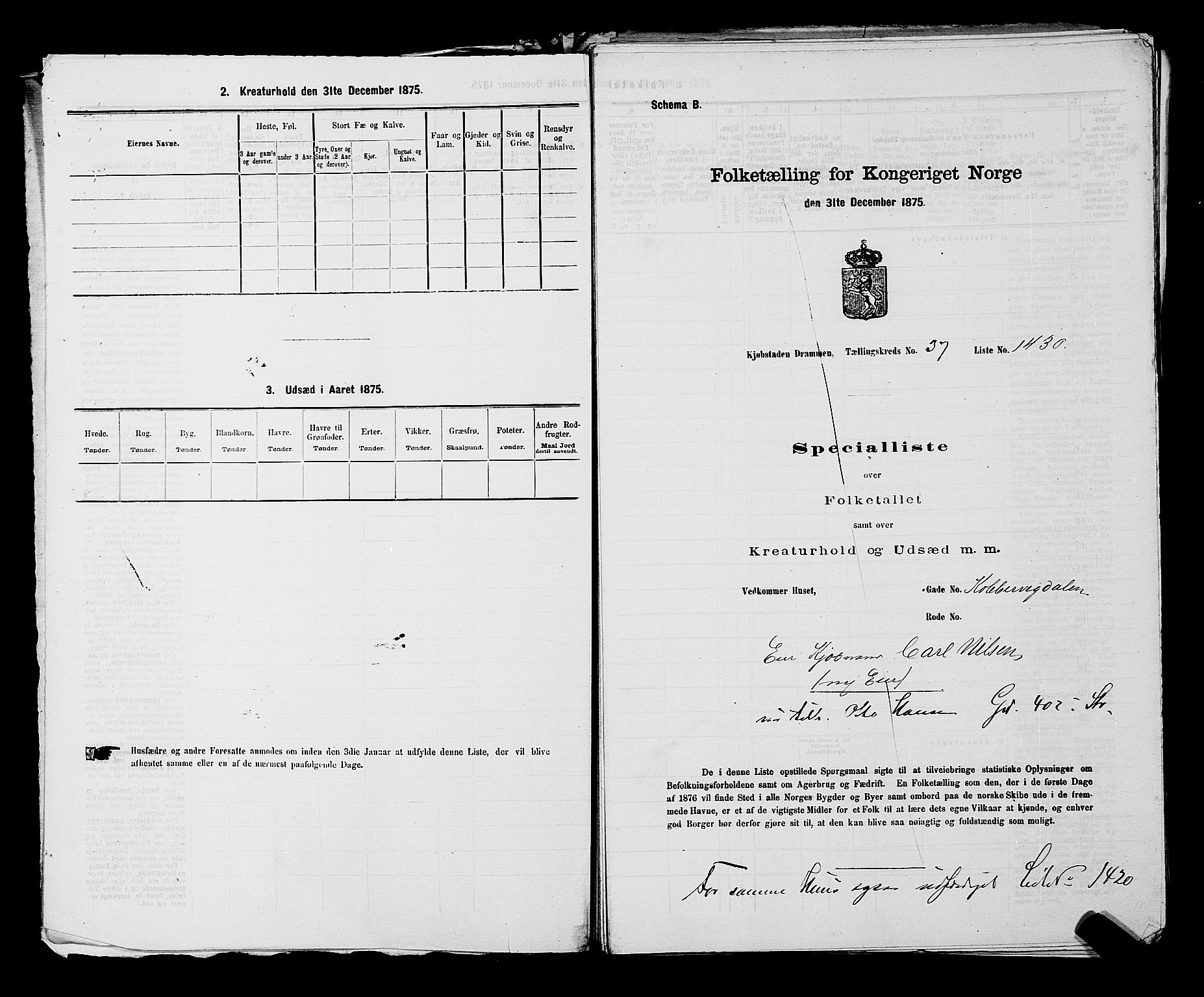 SAKO, 1875 census for 0602 Drammen, 1875, p. 3127