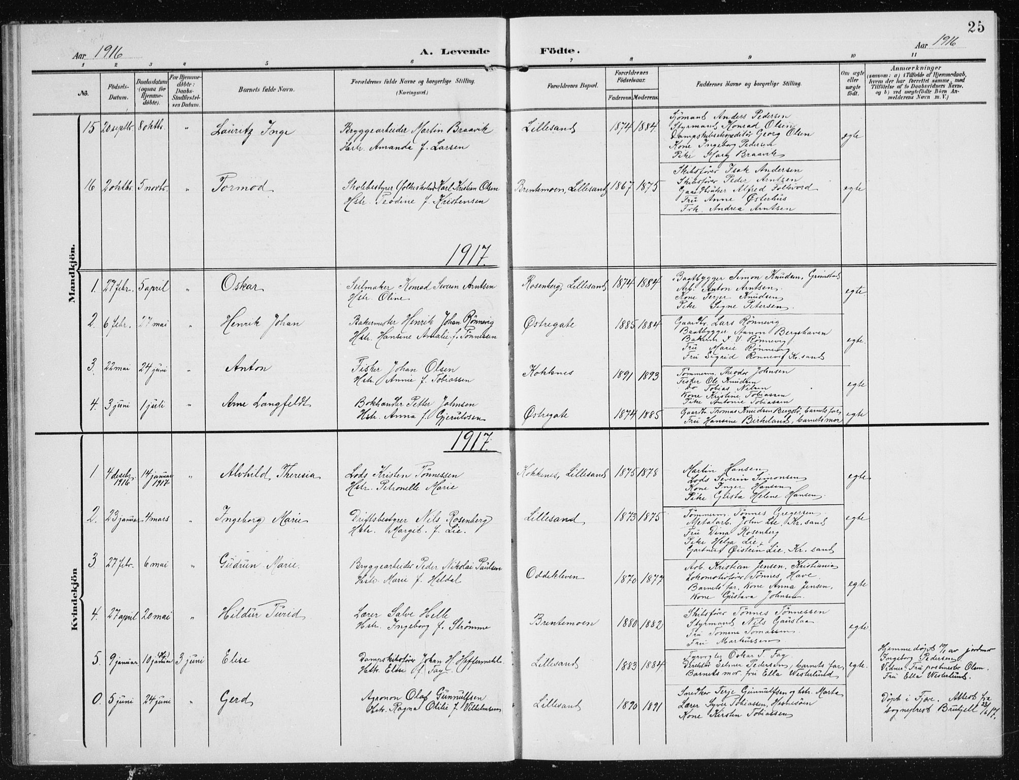 Vestre Moland sokneprestkontor, AV/SAK-1111-0046/F/Fb/Fba/L0002: Parish register (copy) no. B 2, 1904-1934, p. 25