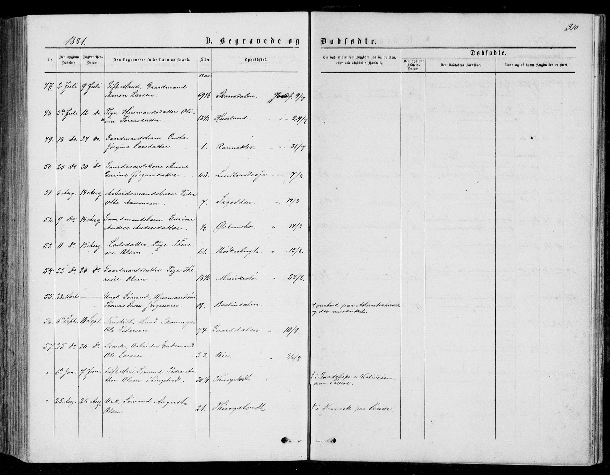 Øyestad sokneprestkontor, AV/SAK-1111-0049/F/Fb/L0008: Parish register (copy) no. B 8, 1872-1886, p. 310