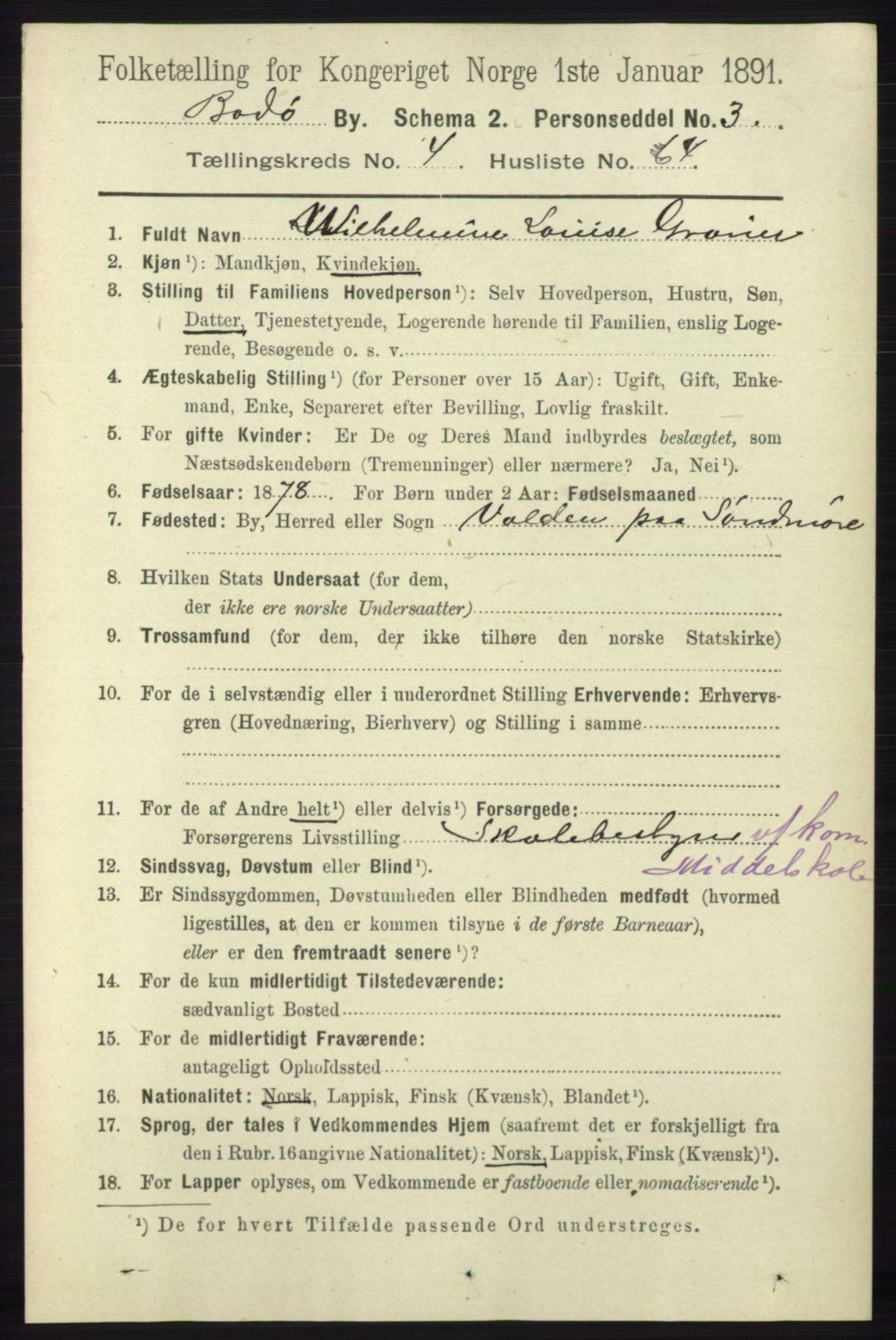 RA, 1891 census for 1804 Bodø, 1891, p. 3790