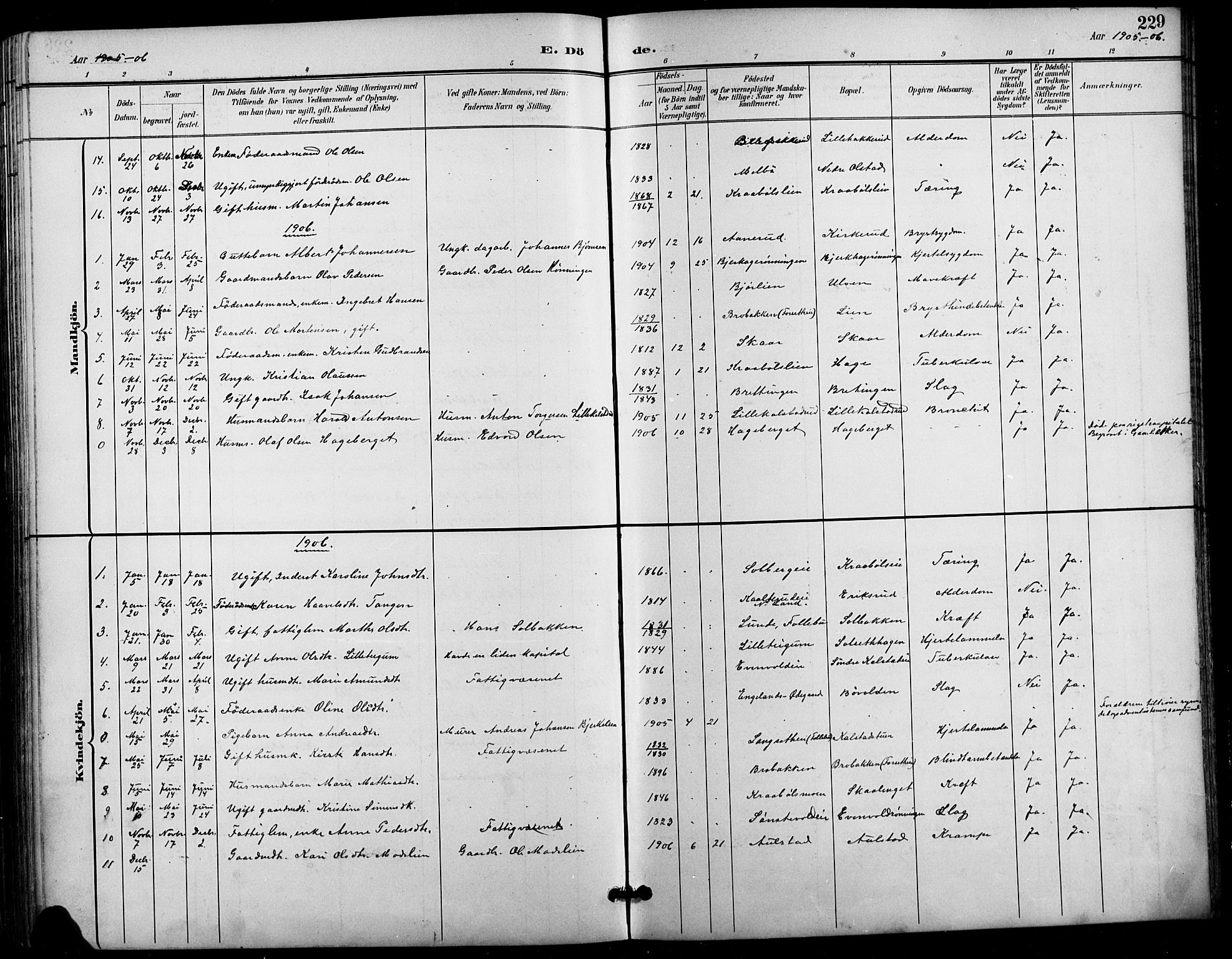 Vestre Gausdal prestekontor, SAH/PREST-094/H/Ha/Hab/L0003: Parish register (copy) no. 3, 1896-1925, p. 229