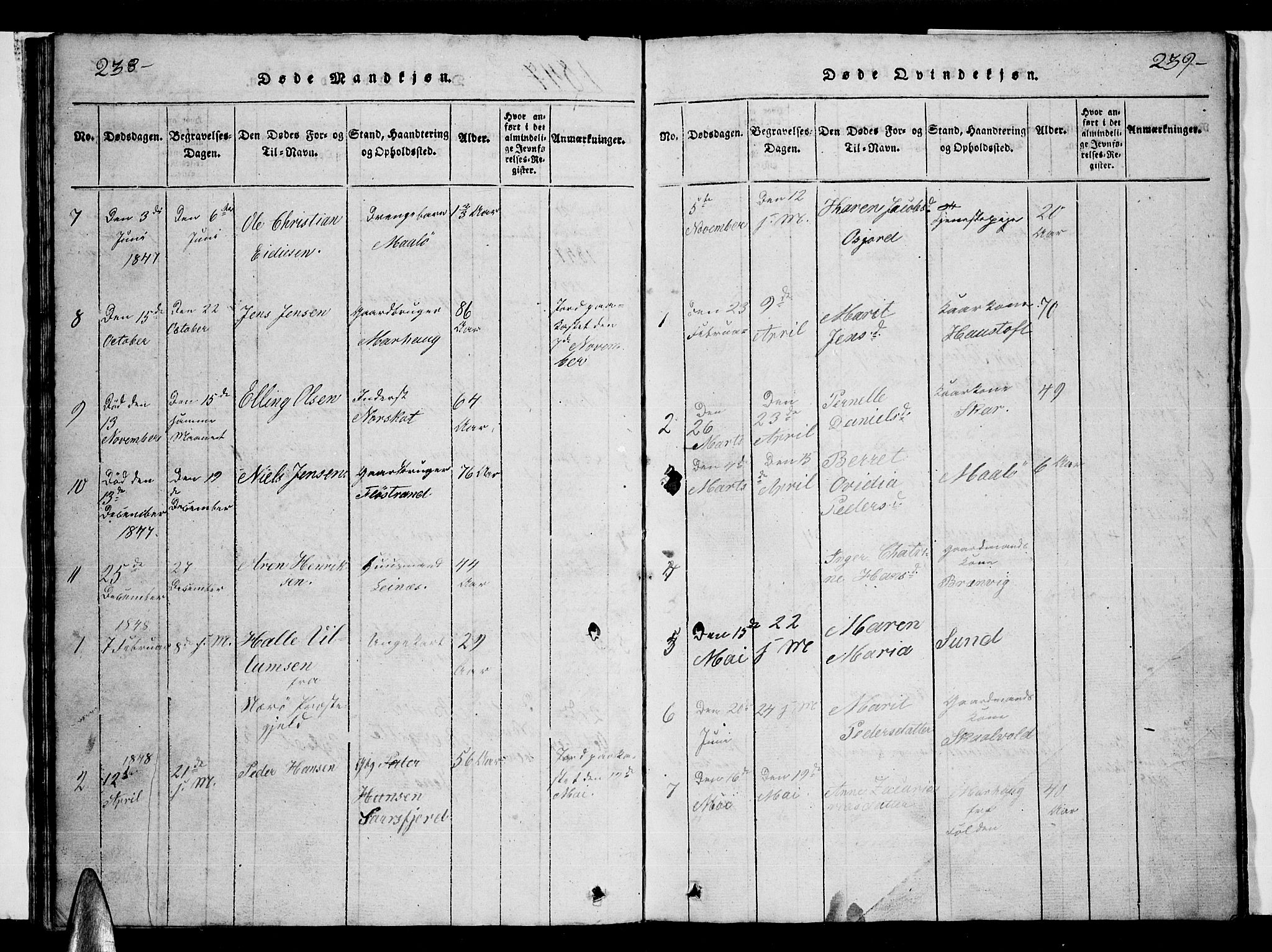 Ministerialprotokoller, klokkerbøker og fødselsregistre - Nordland, AV/SAT-A-1459/857/L0826: Parish register (copy) no. 857C01, 1821-1852, p. 238-239